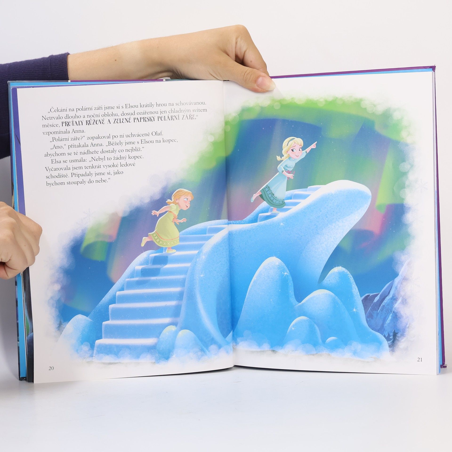 Autores varios Zlatá kniha. Polární záře. Ledové království