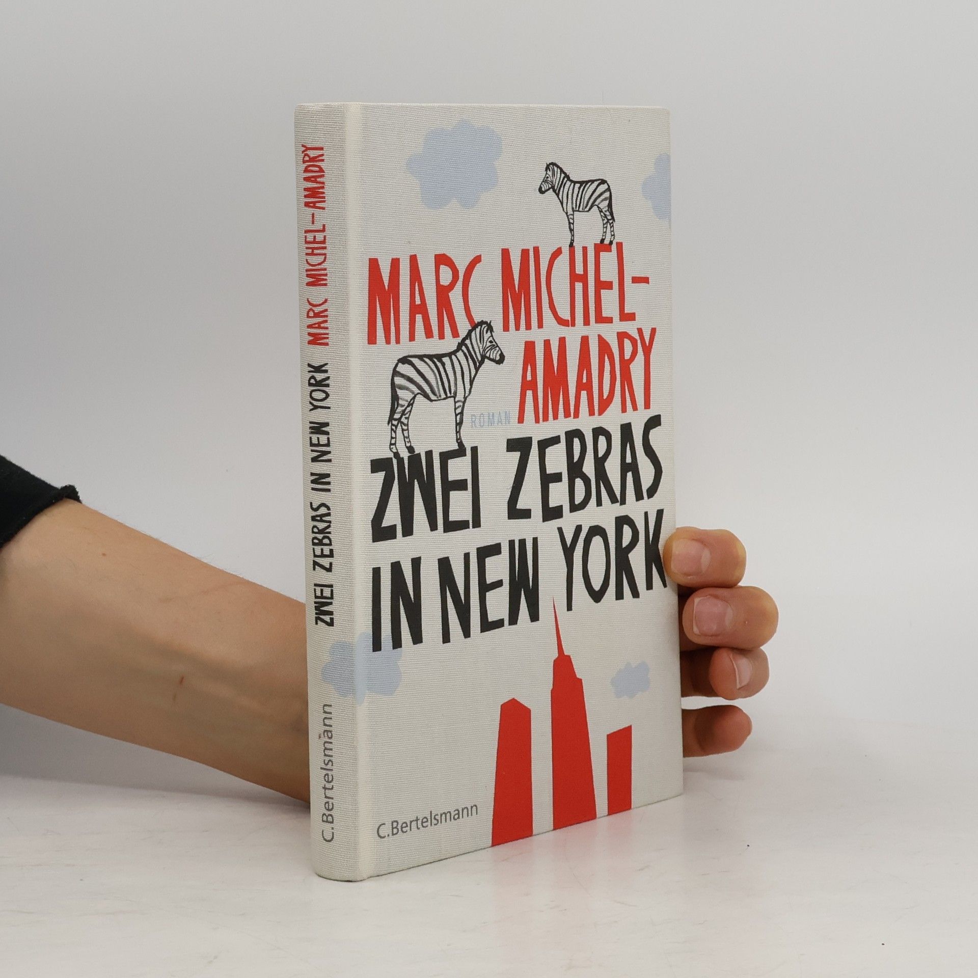 Marc Michel-Amadry Zwei Zebras in New York