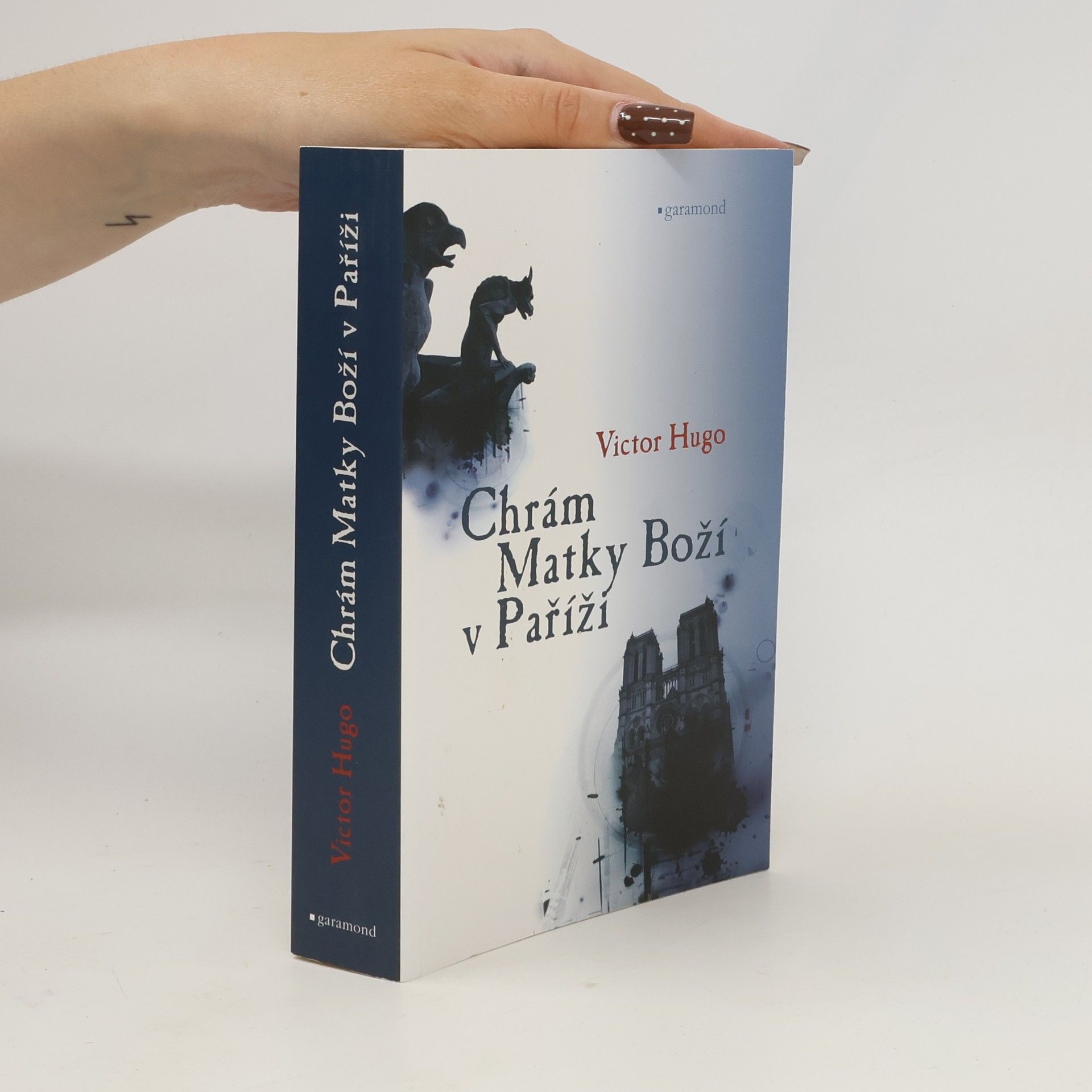 Victor Hugo Chrám Matky Boží v Paříži