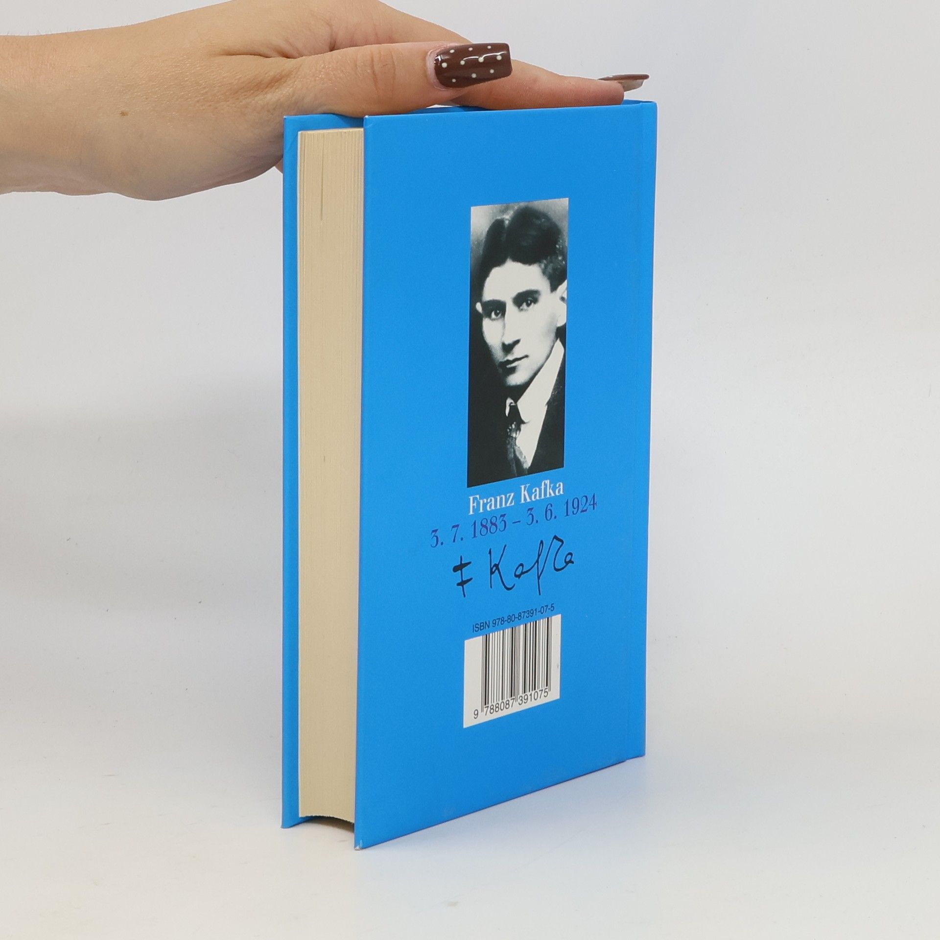 Franz Kafka Zámek