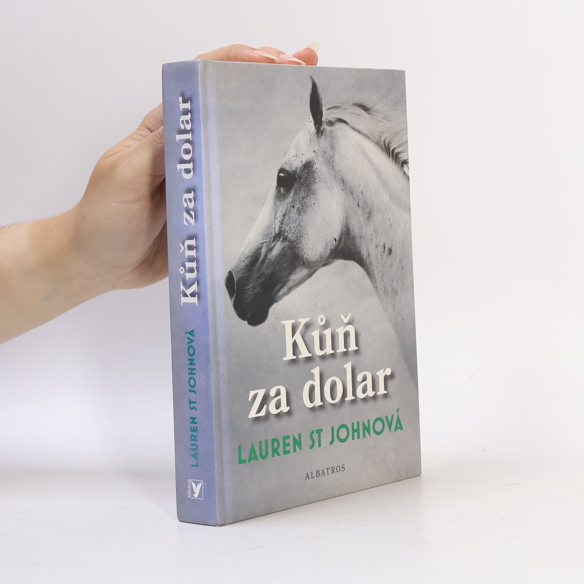 Lauren St. John Kůň za dolar