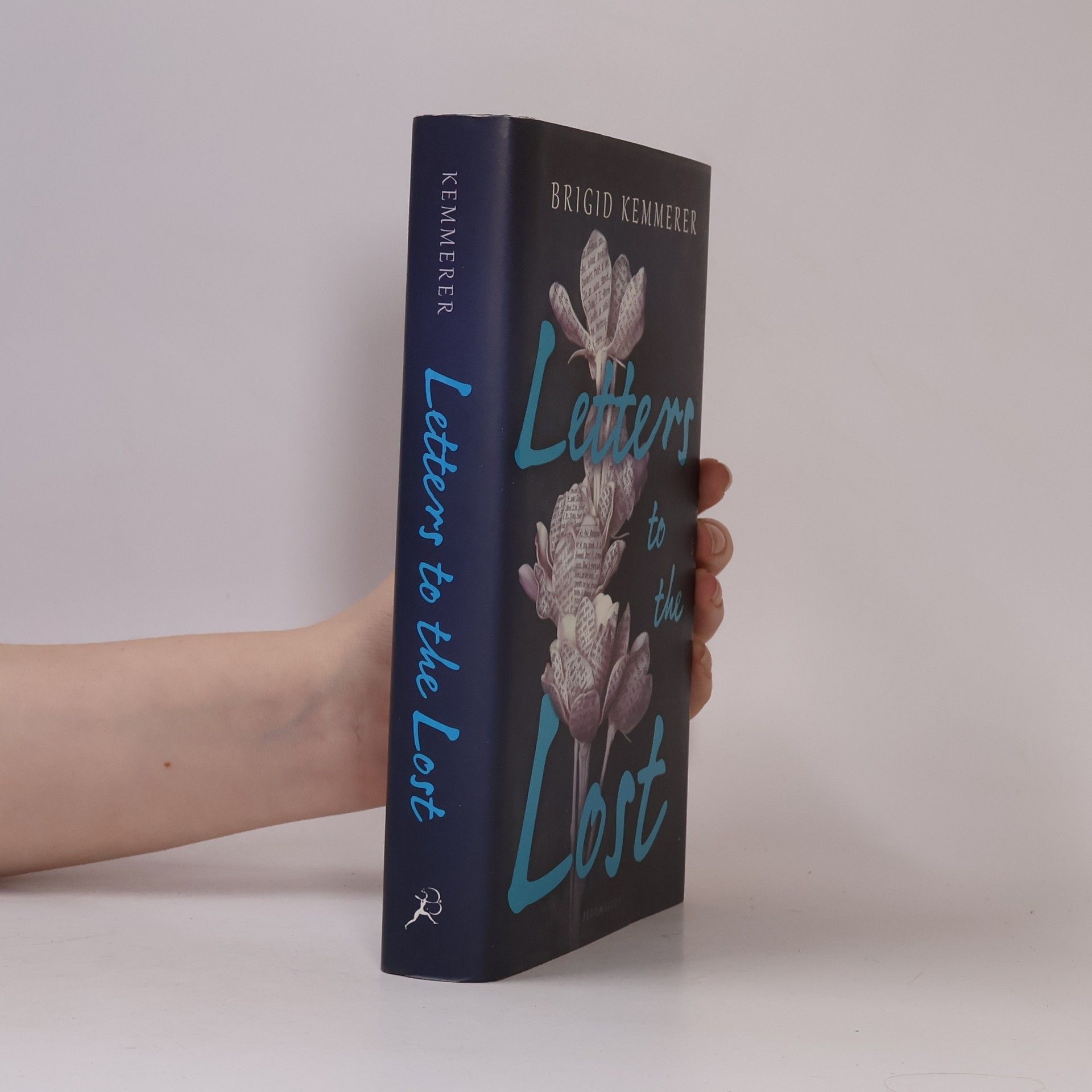 Brigid Kemmerer Letters to the Lost