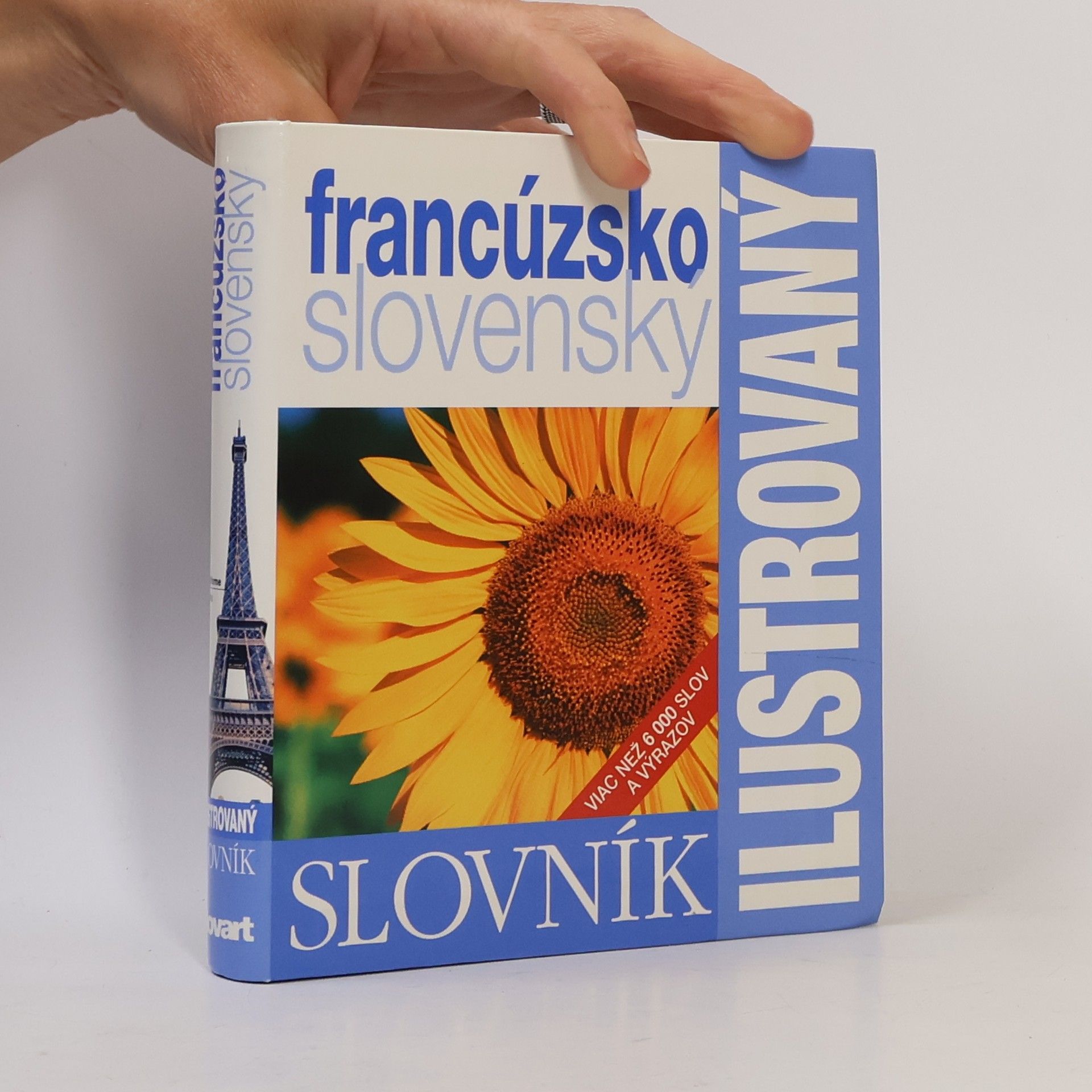 Various authors Ilustrovaný dvojjazyčný slovník francúzsko slovenský