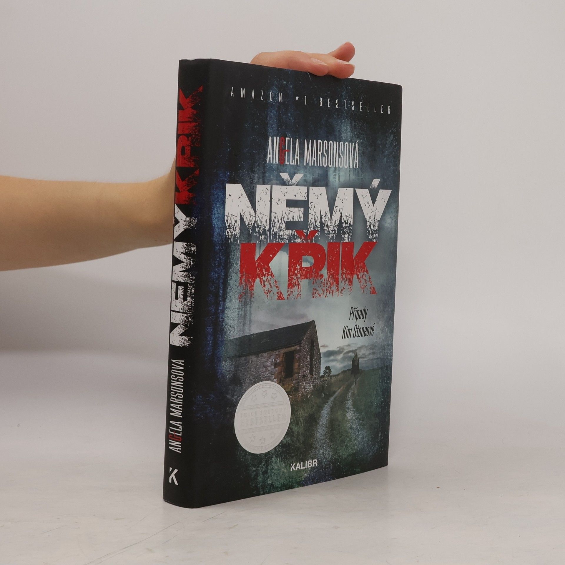 Angela Marsons Němý křik