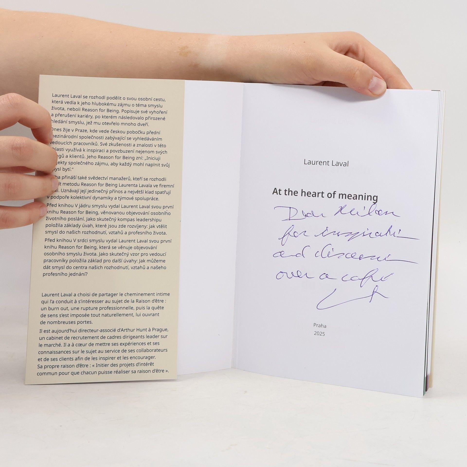 Laurent Laval At the Heart of Meaning