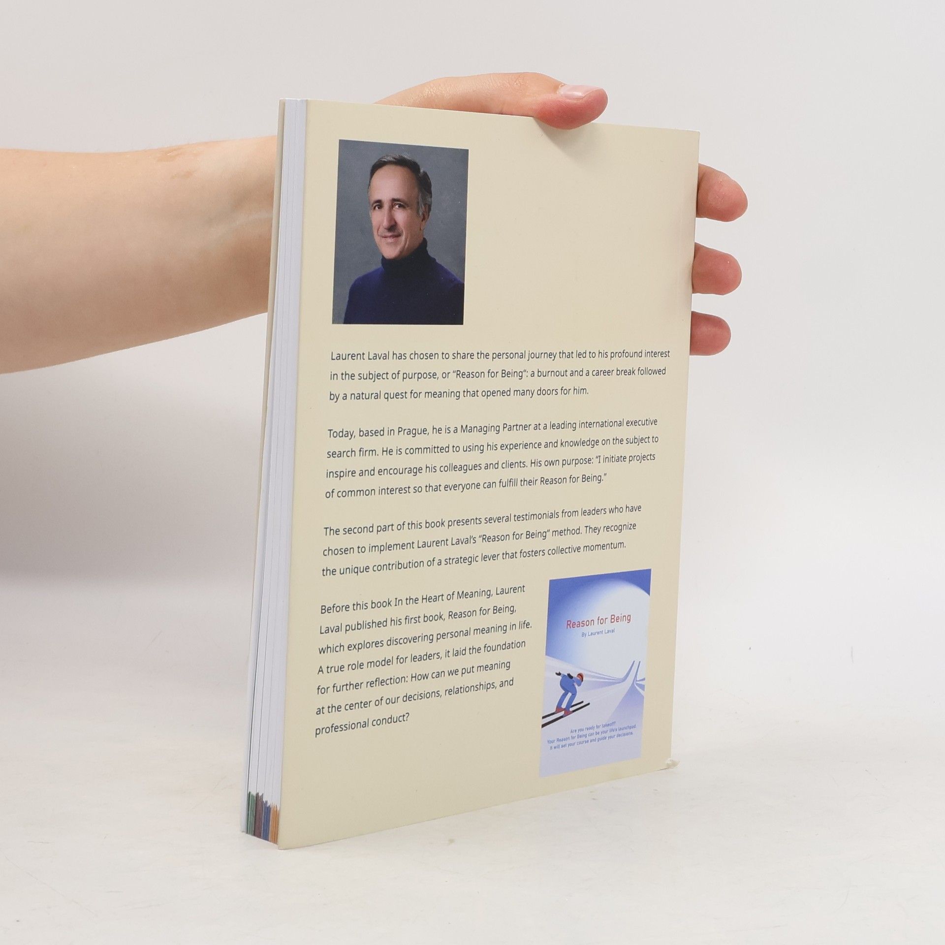 Laurent Laval At the Heart of Meaning