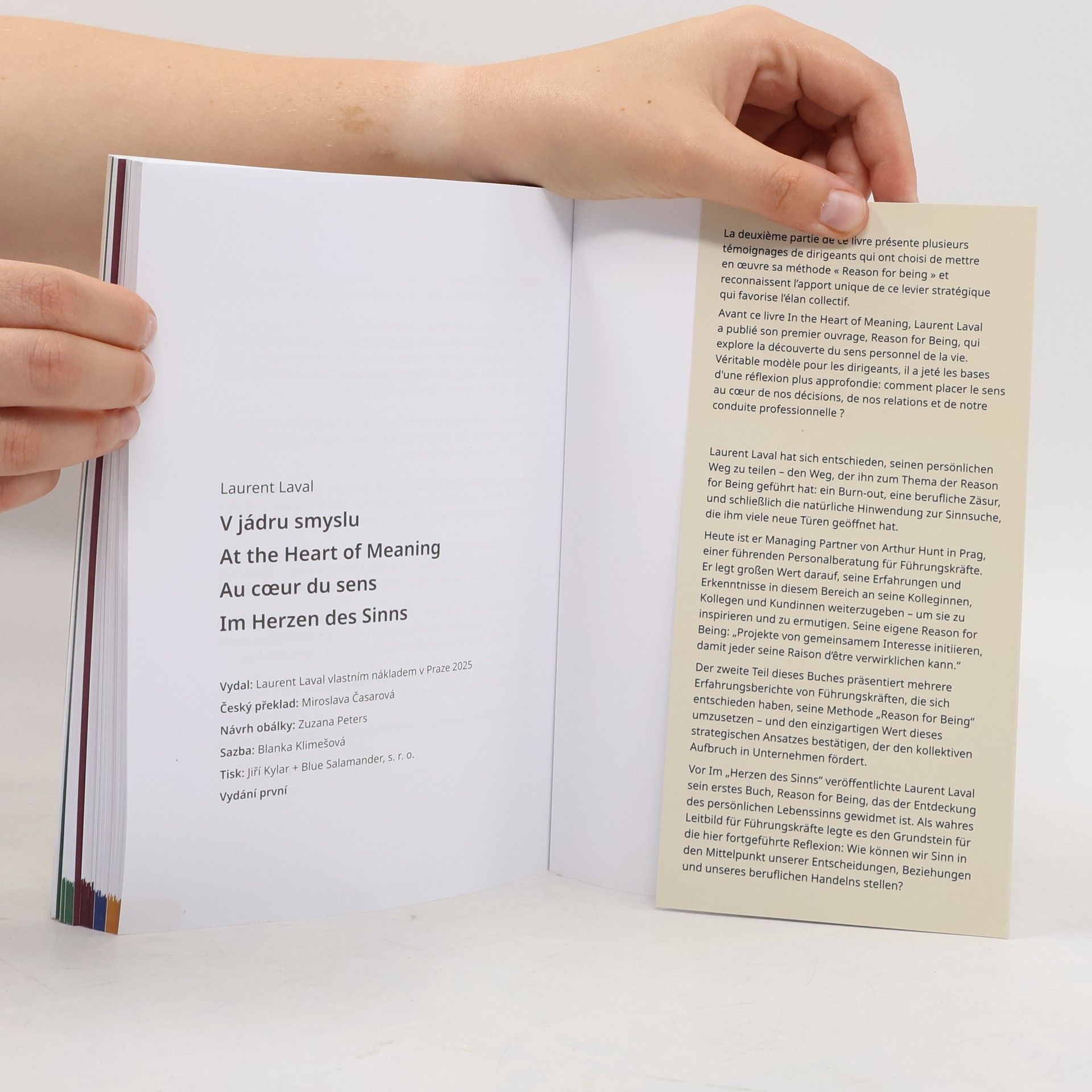 Laurent Laval At the Heart of Meaning