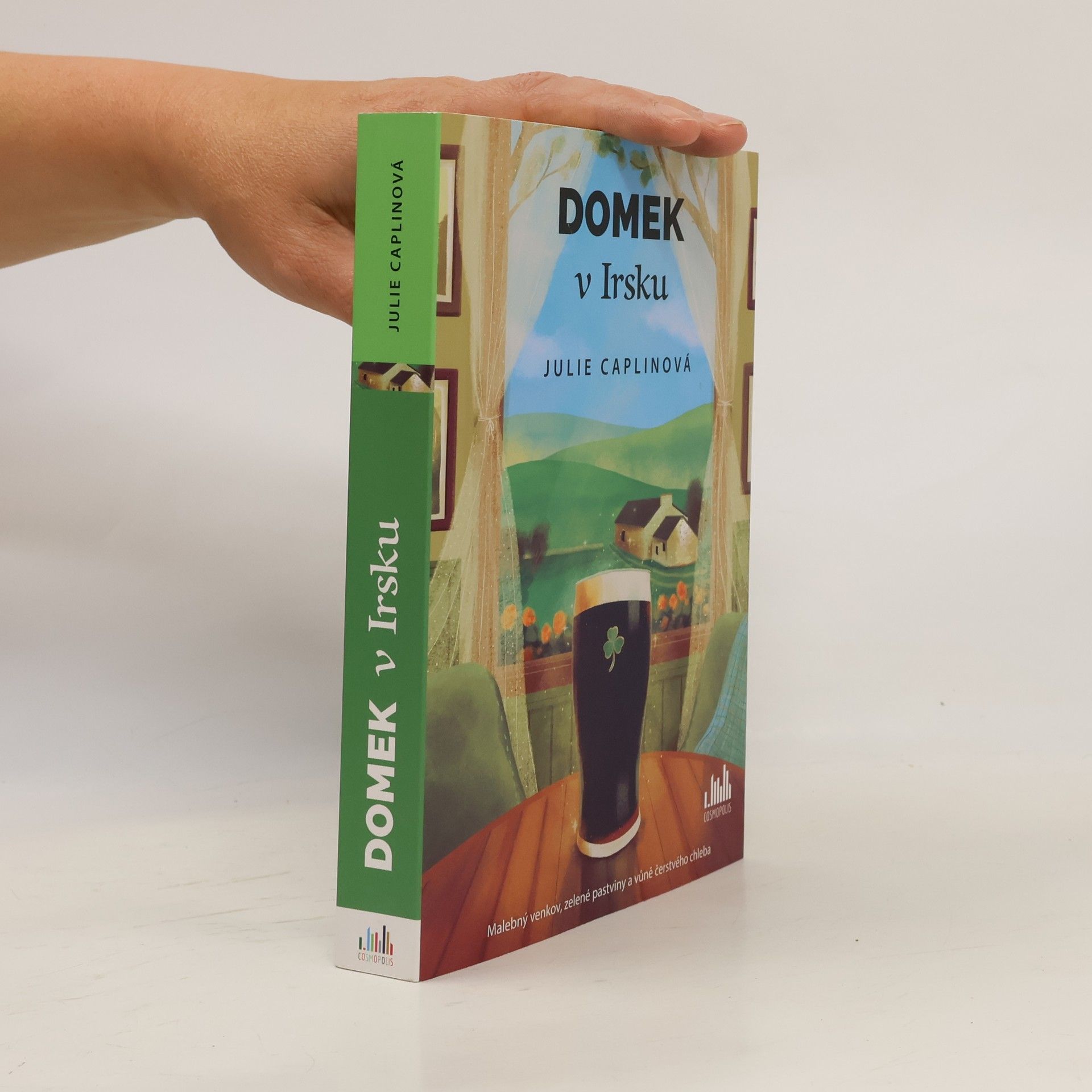 Julie Caplin Domek v Irsku