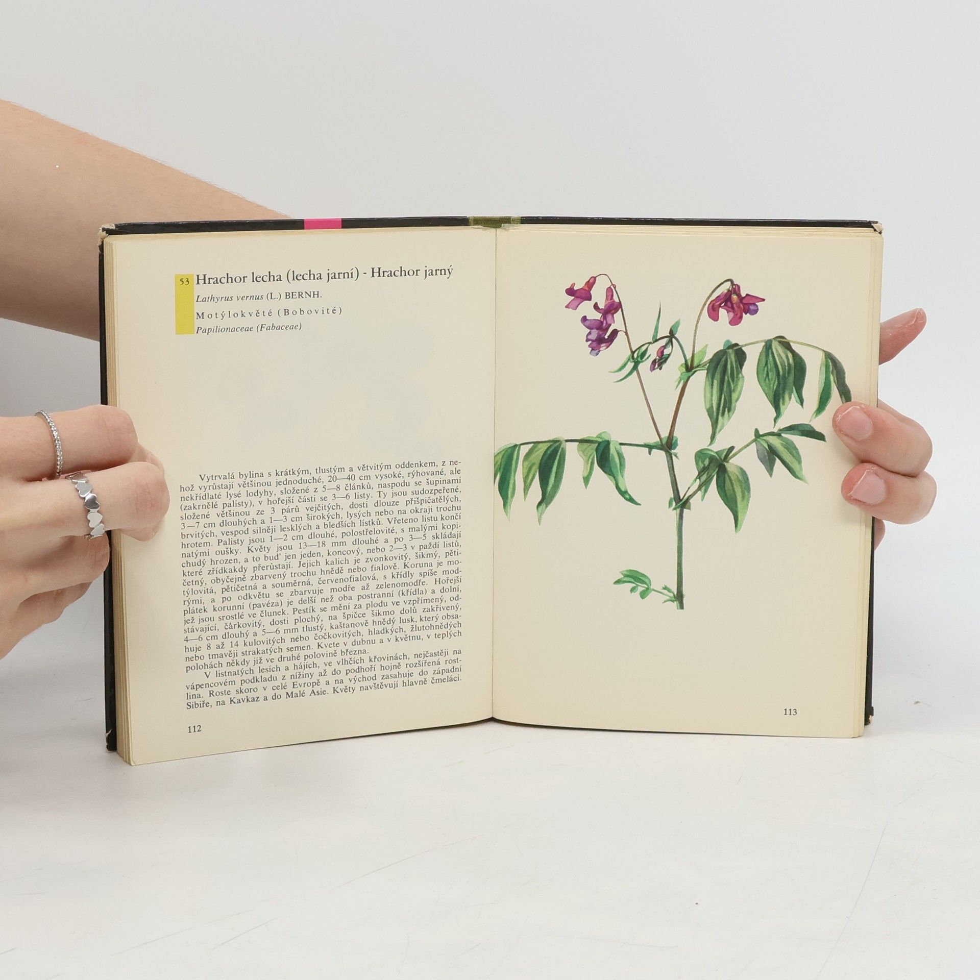 Albert Pilát Kapesní atlas rostlin