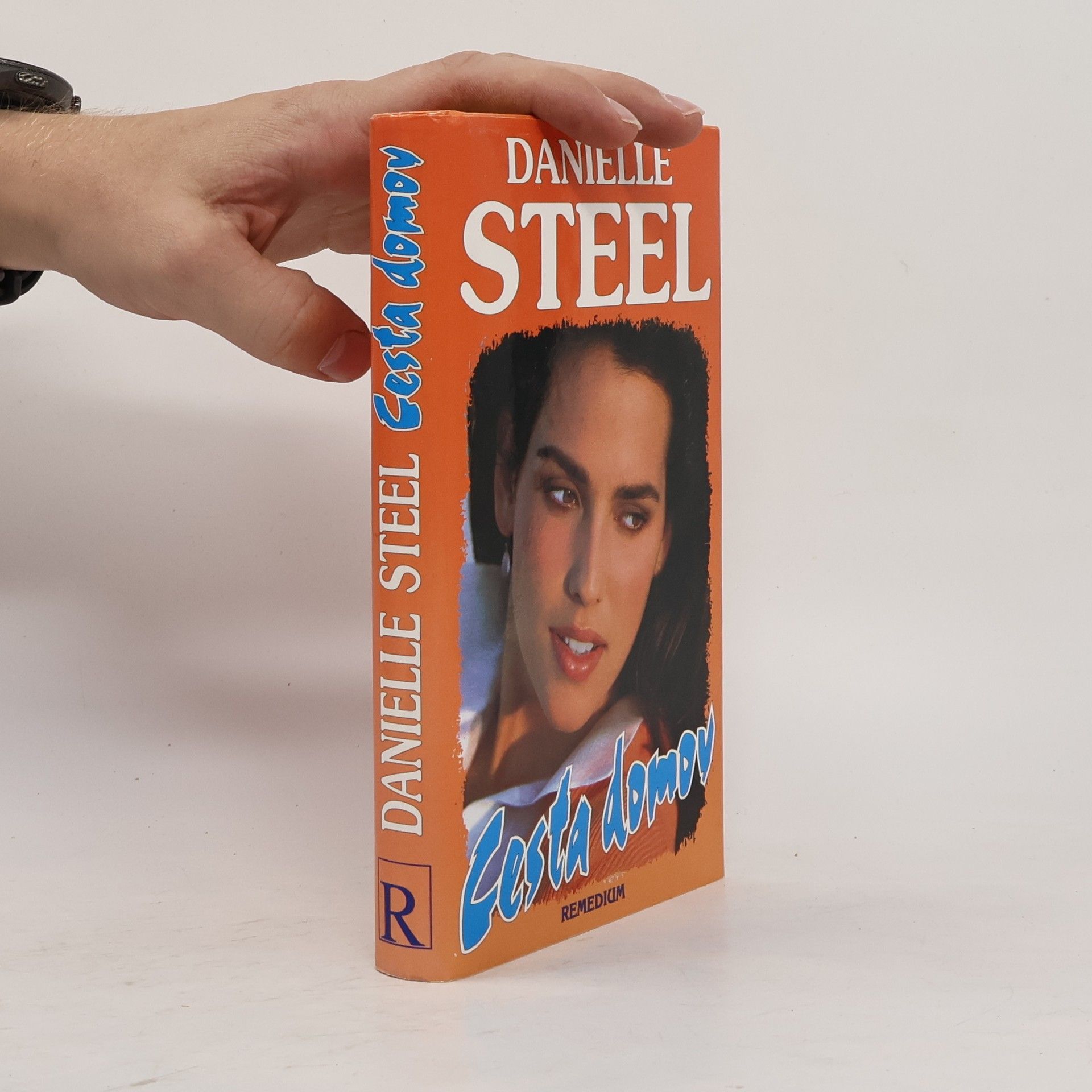 Danielle Steel Cesta domov