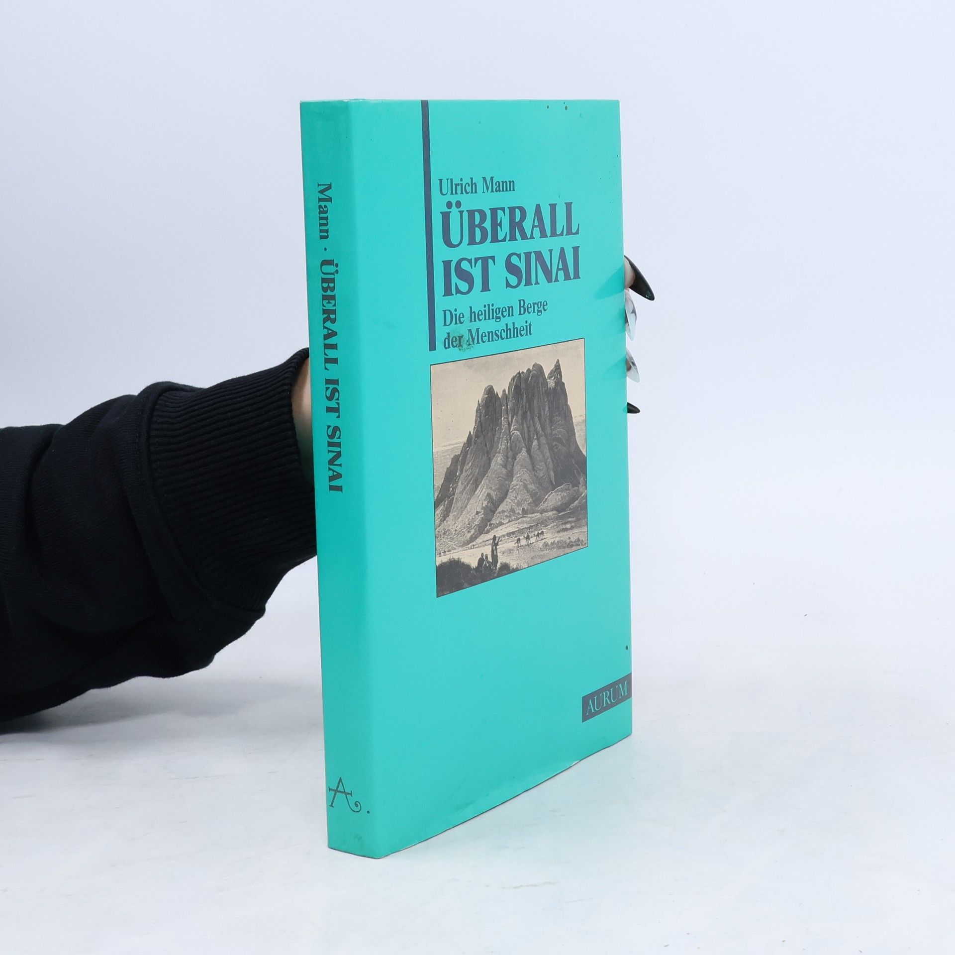 Überall ist Sinai