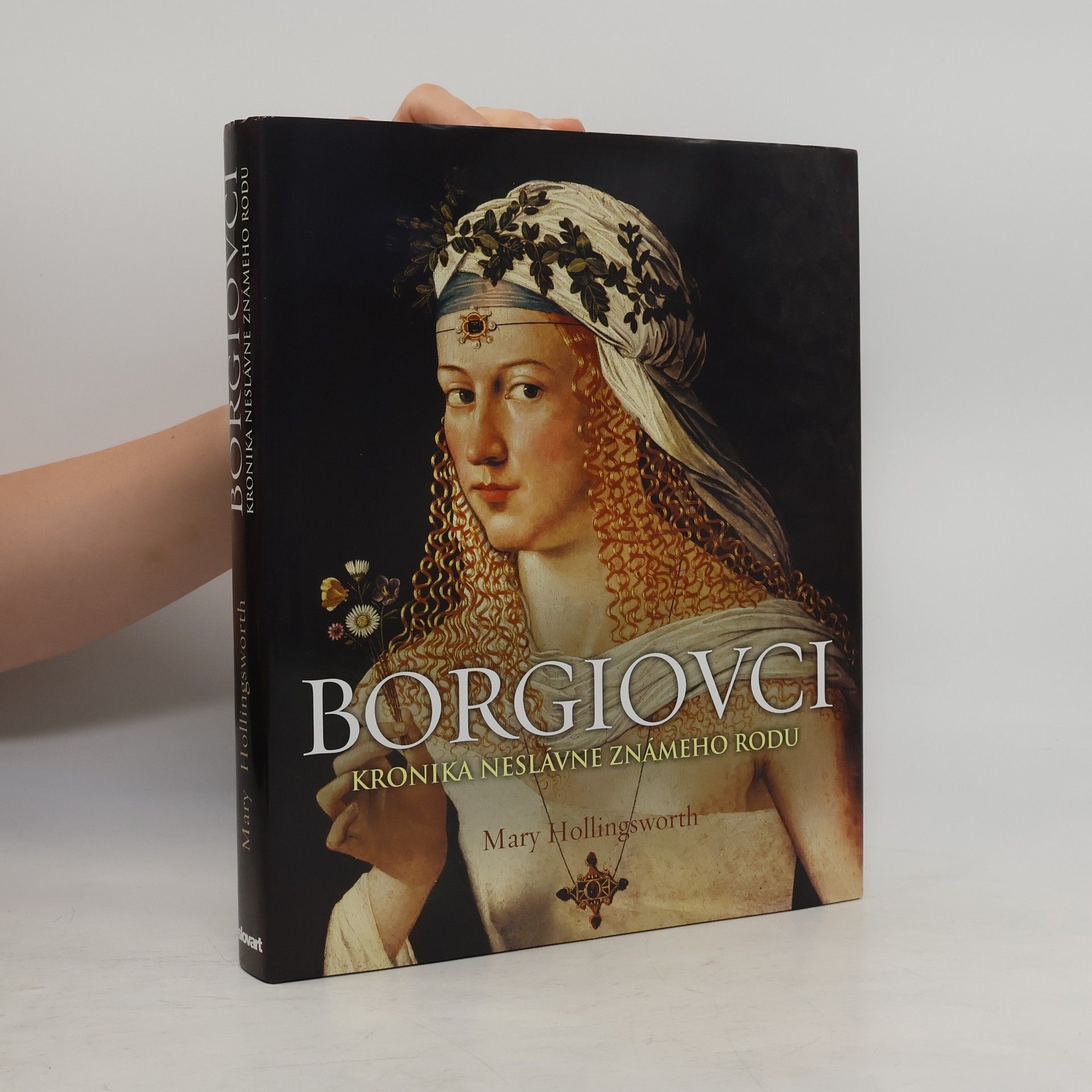 Mary Hollingsworth Borgiovci - kronika neslávne známeho rodu