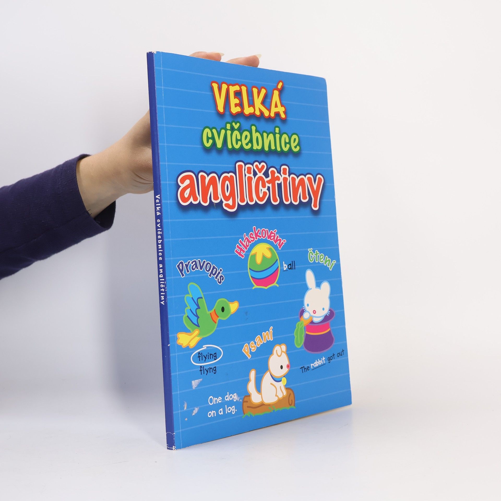 Collectif d'auteurs Velká cvičebnice angličtiny