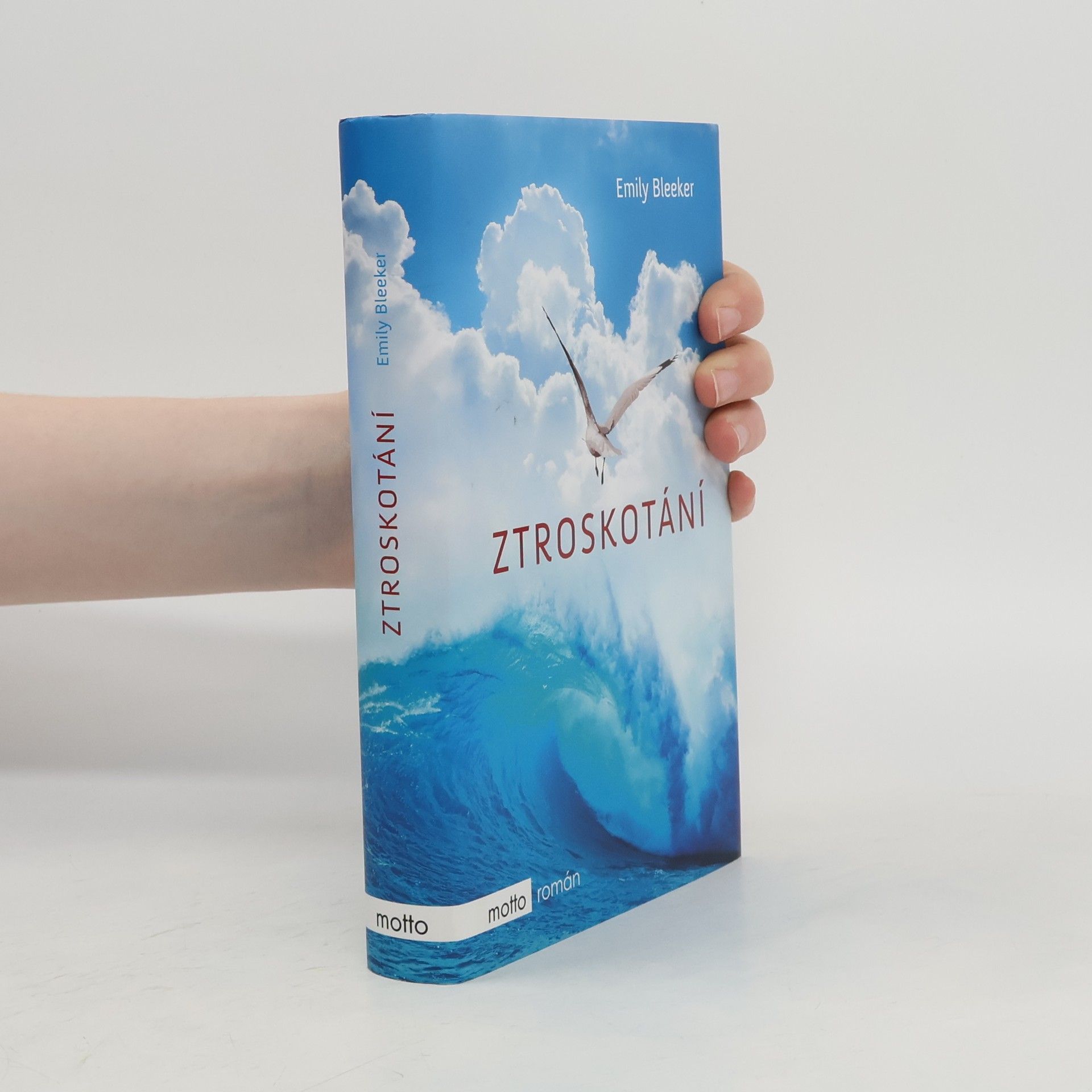 Emily Bleeker Ztroskotání