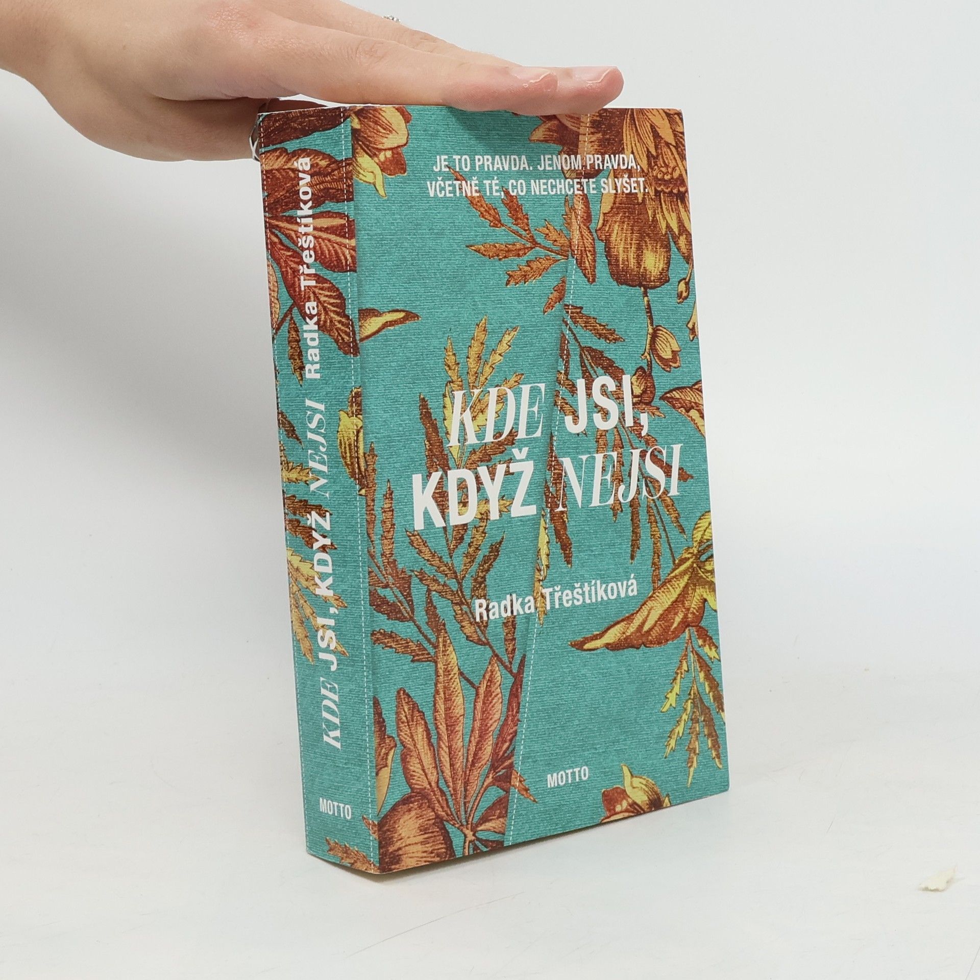 Radka Třeštíková Kde jsi, když nejsi