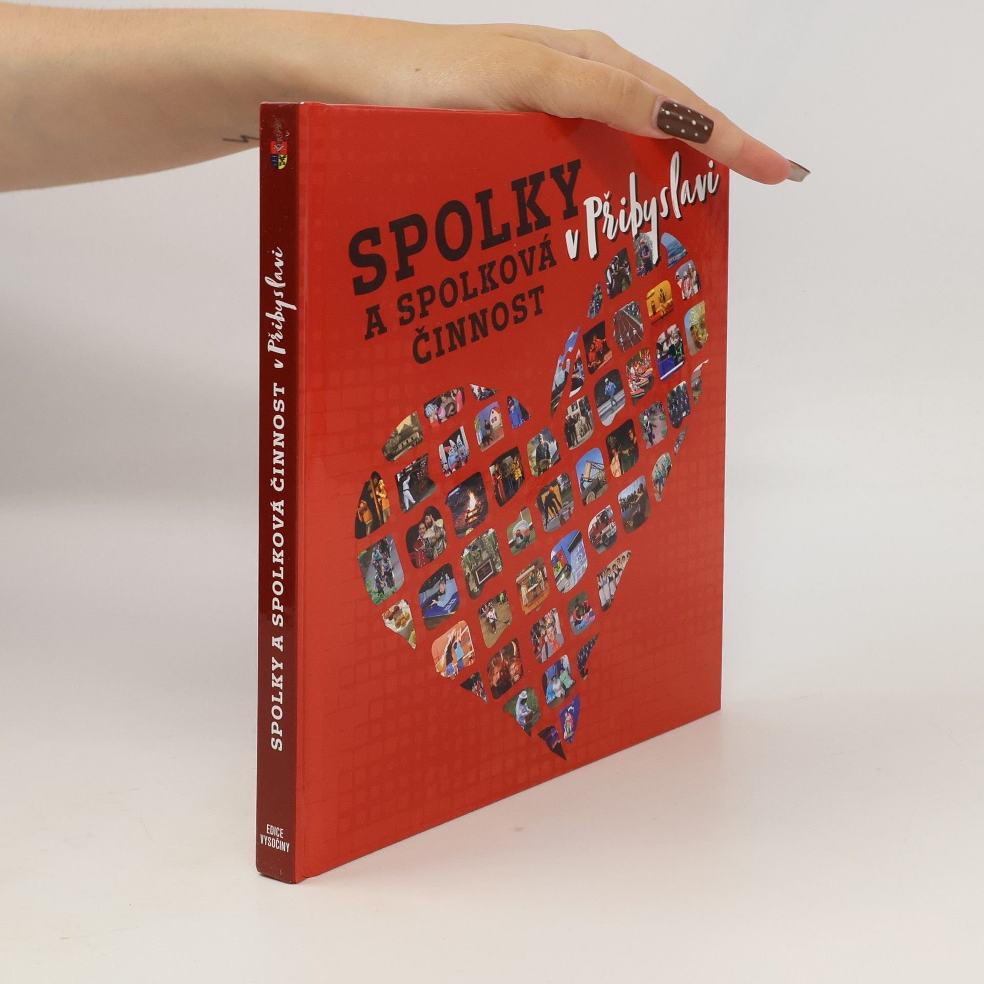 Kolektív autorov Spolky a spolková činnost v Přibyslavi