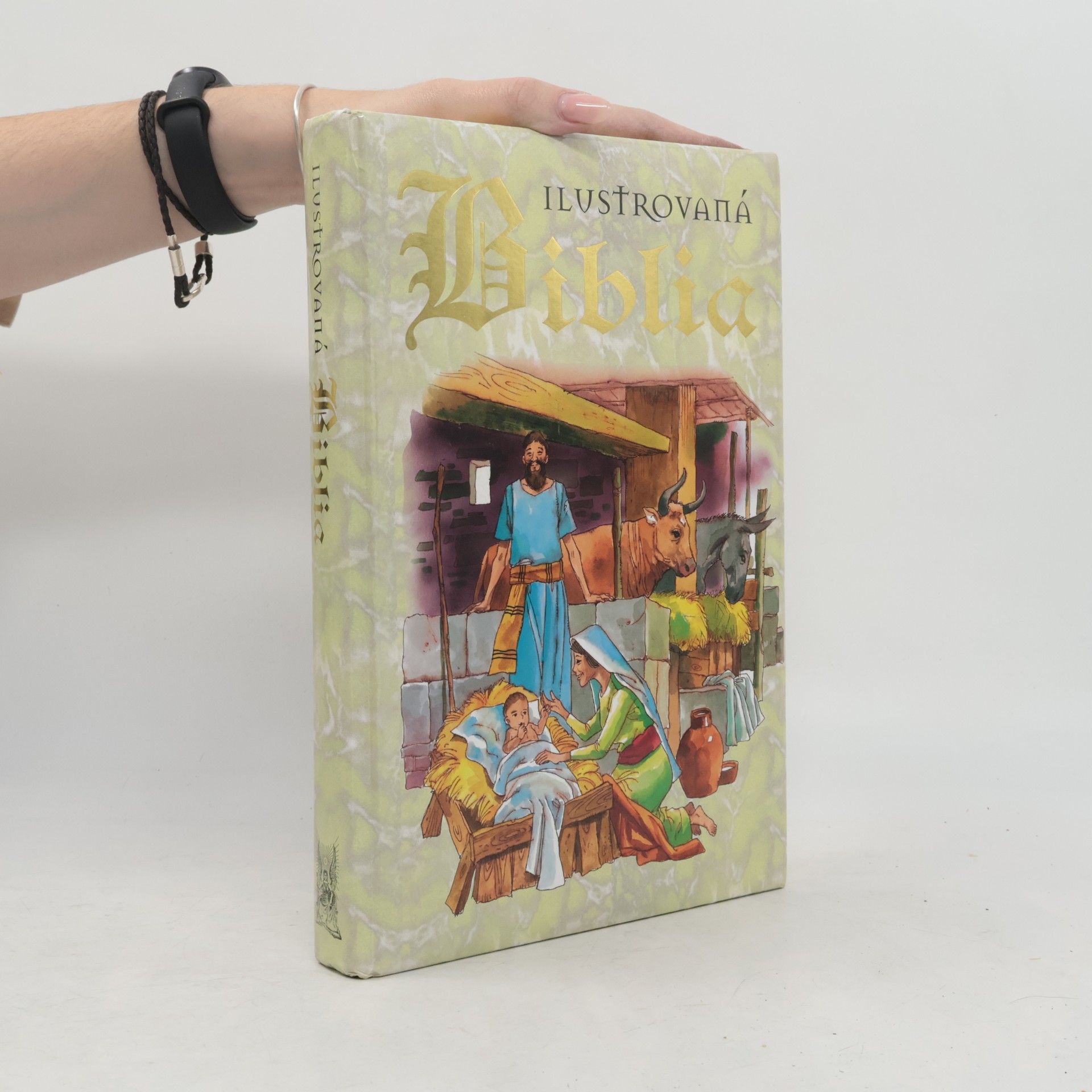 Autores varios Ilustrovaná Biblia