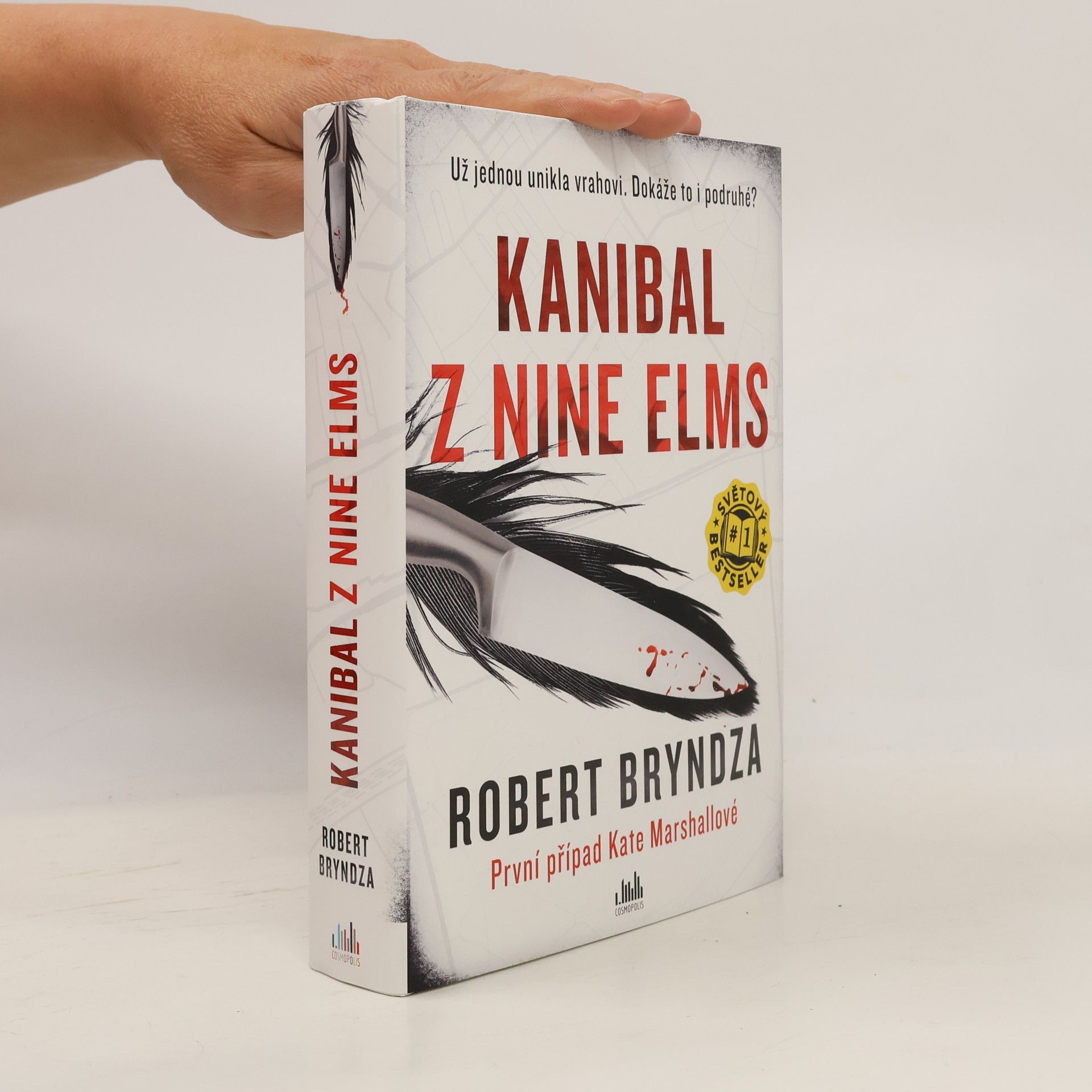 Robert Bryndza Kanibal z Nine Elms