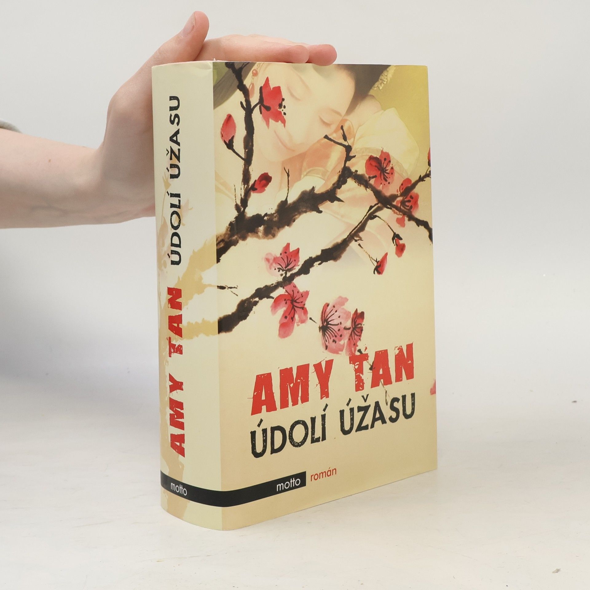 Amy Tan Údolí úžasu