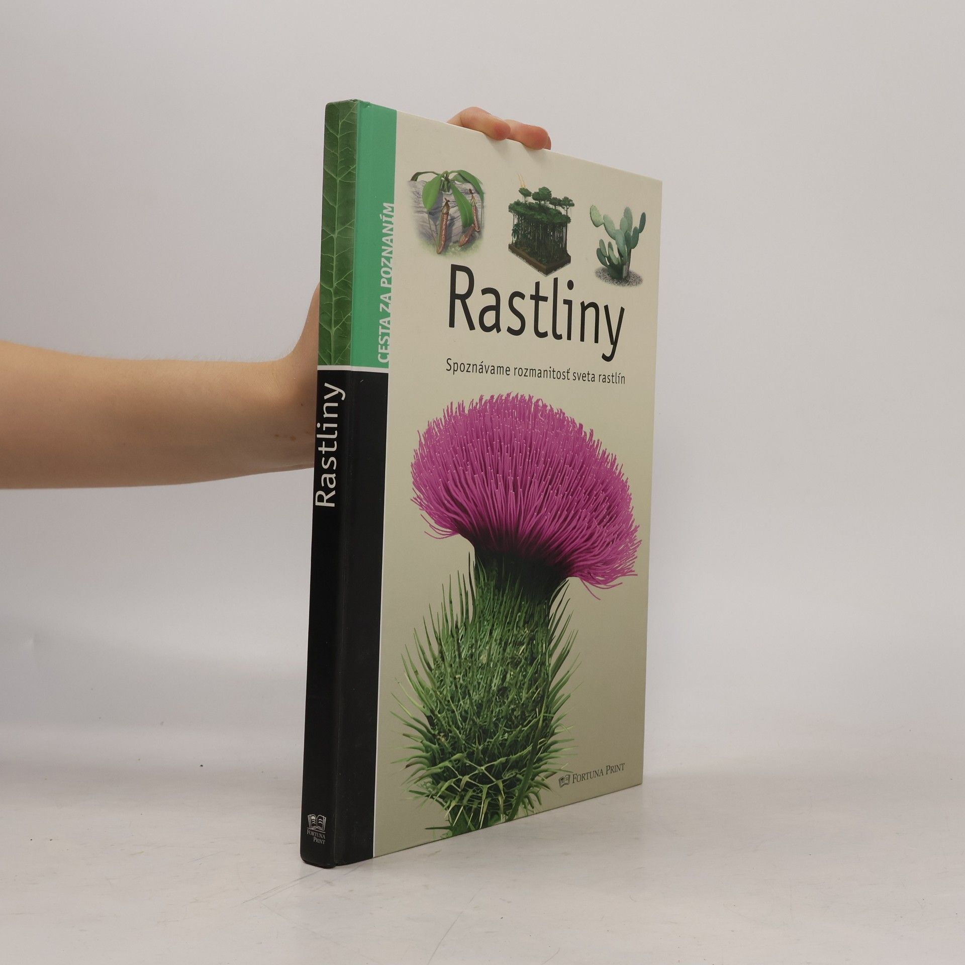 Stéphane Batigne Rastliny (Spoznávame rozmanitosť sveta rastlín