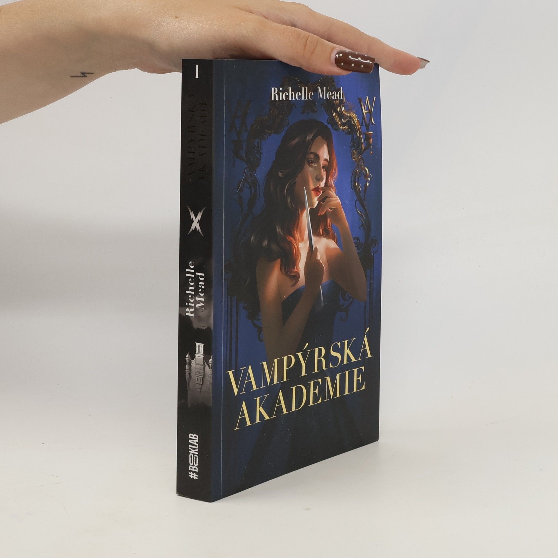 Richelle Mead Vampýrská akademie