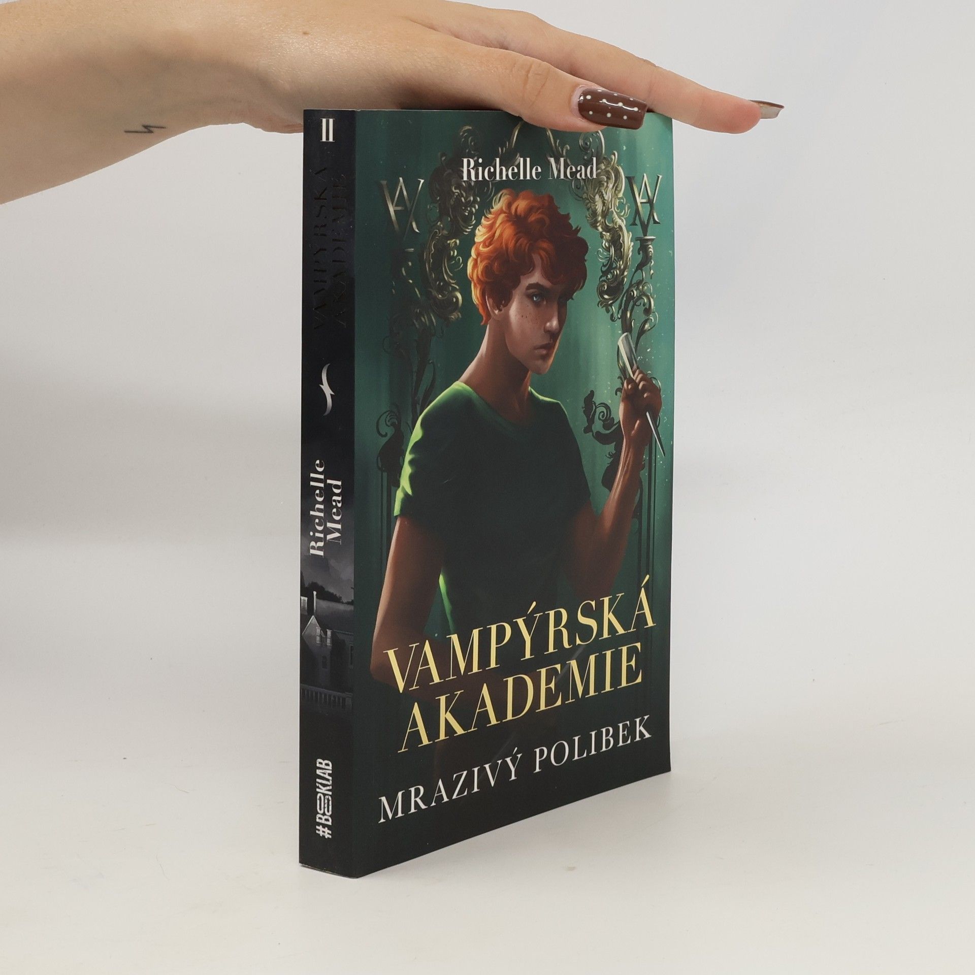 Richelle Mead Vampýrská akademie 2: Mrazivý polibek