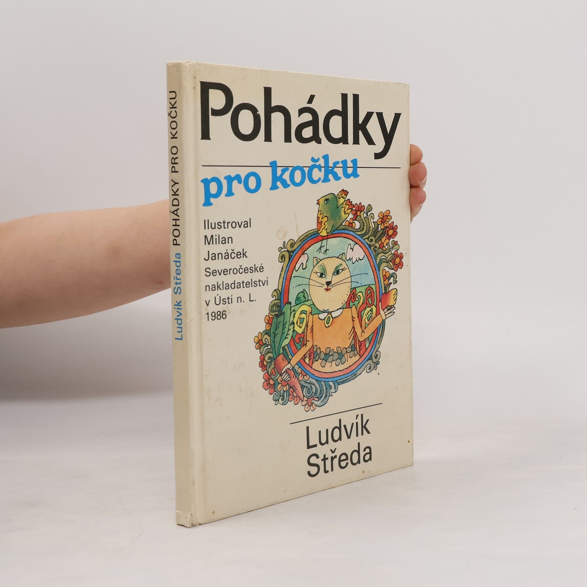Ludvík Středa Pohádky pro kočku