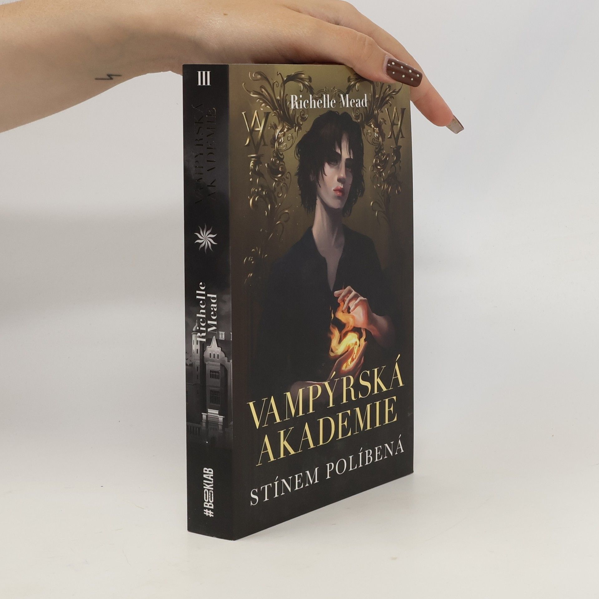 Richelle Mead Vampýrská akademie. Stínem políbená