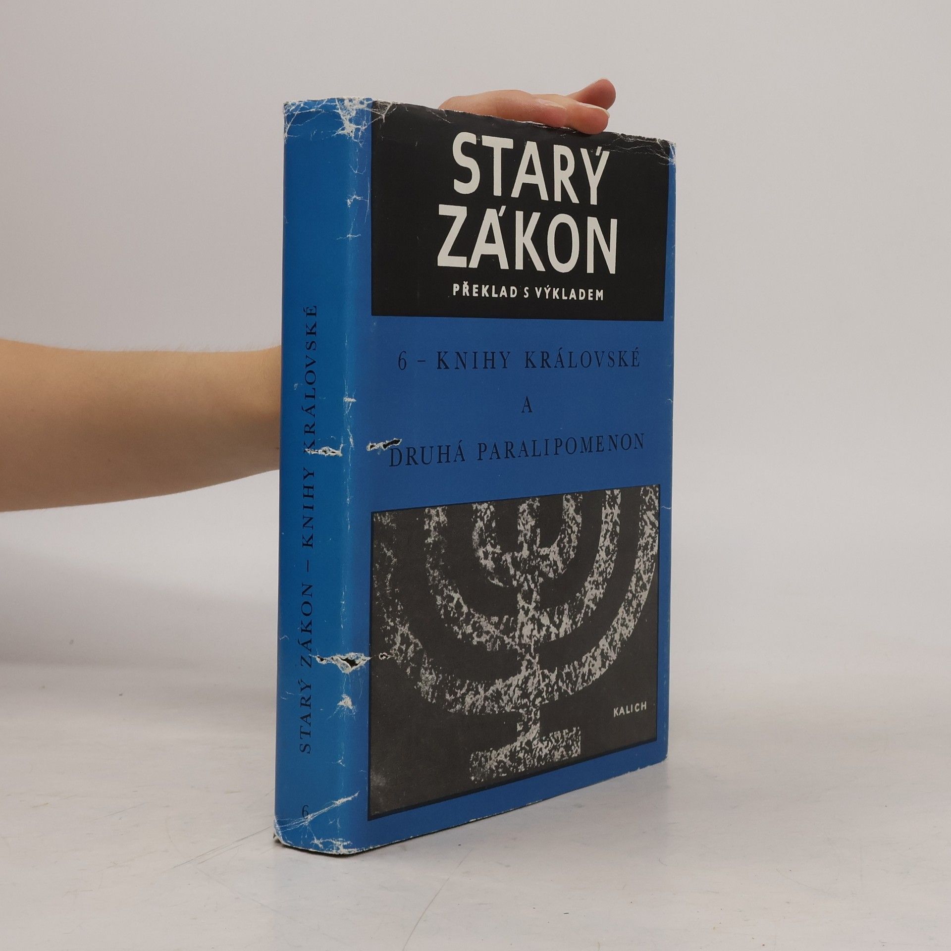 Kolektiv autorů Starý zákon 6. Knihy královské a druhá Paralipomenon