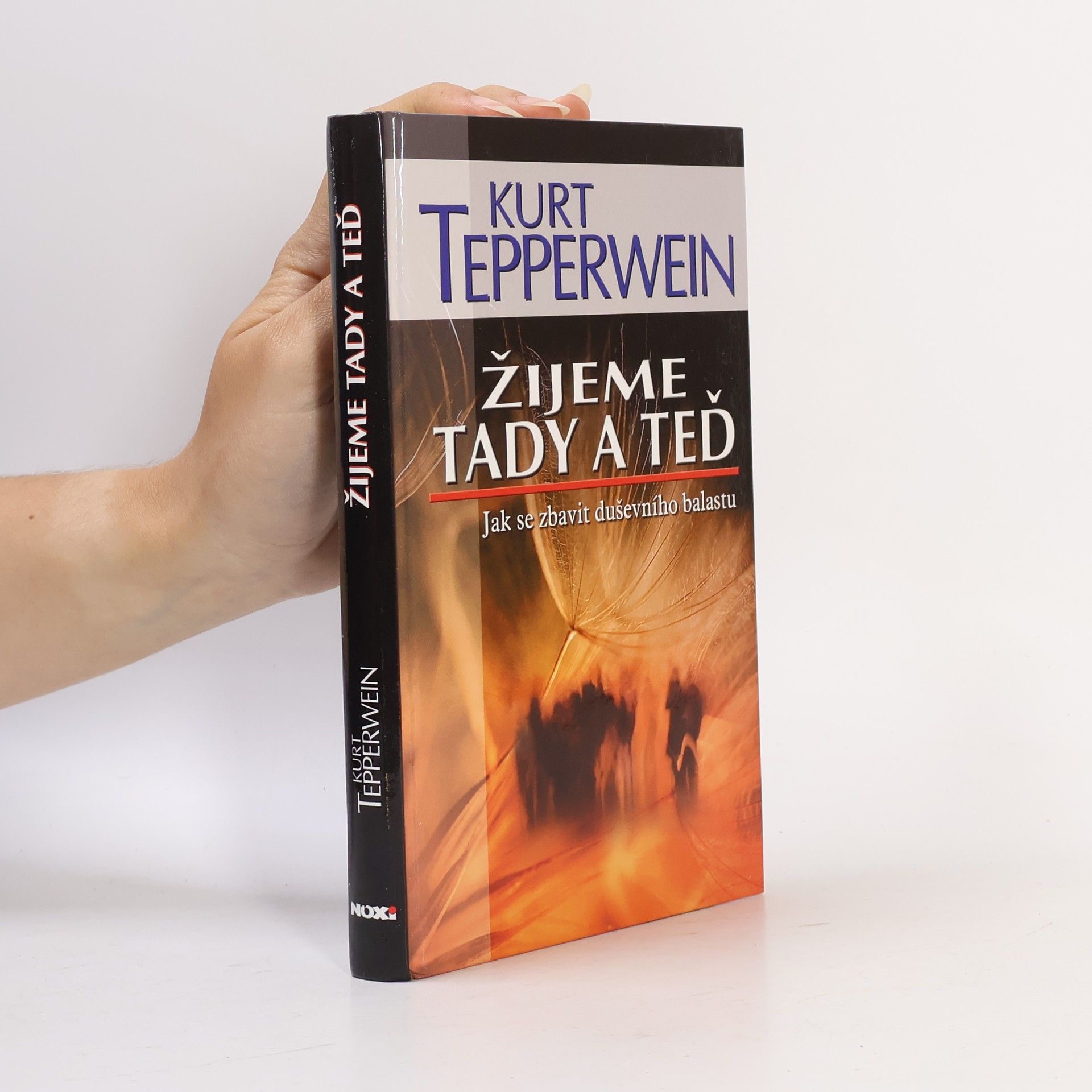 Kurt Tepperwein Žijeme tady a teď : jak se zbavit duševního balastu