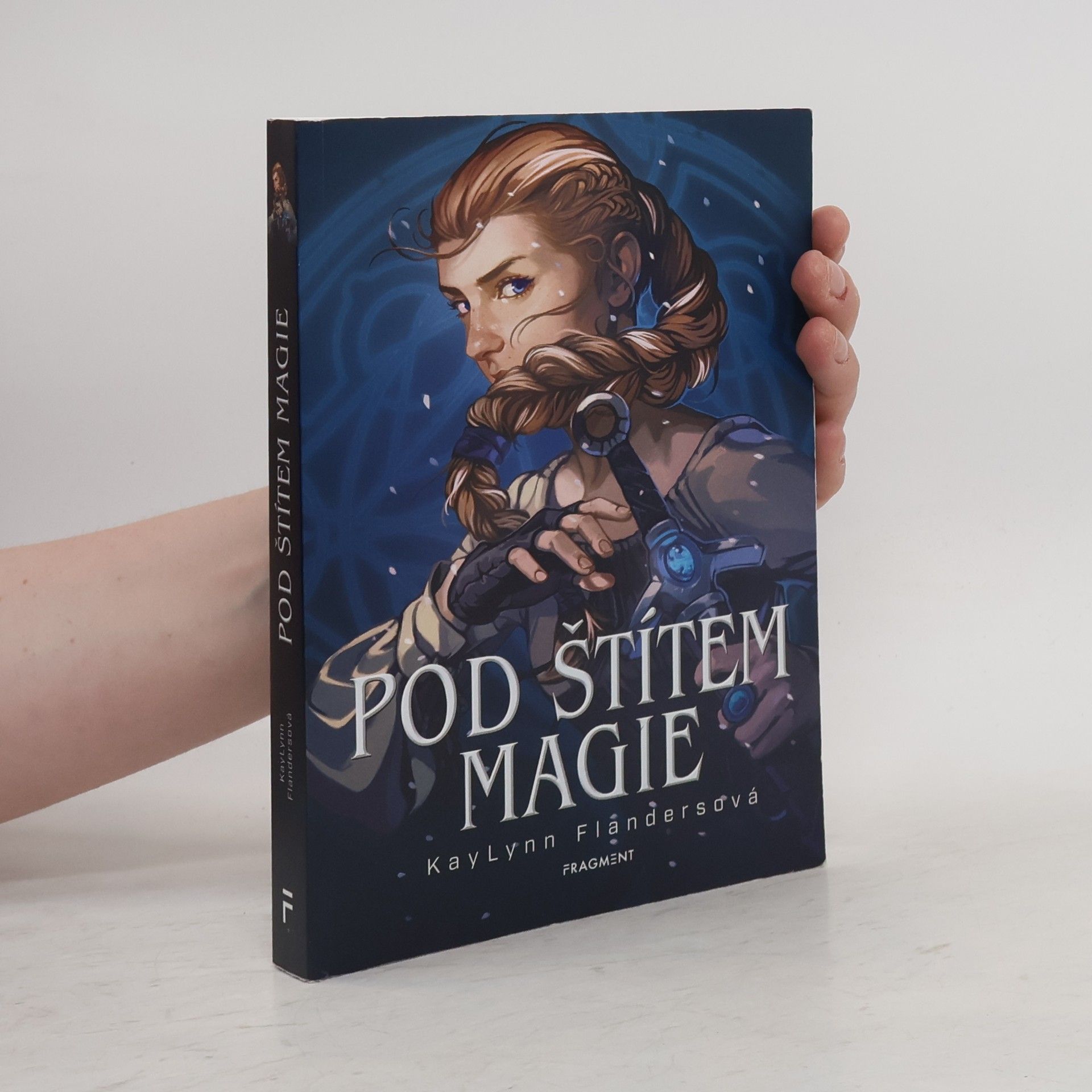 KayLynn Flanders Pod štítem magie (recenzní výtisk)