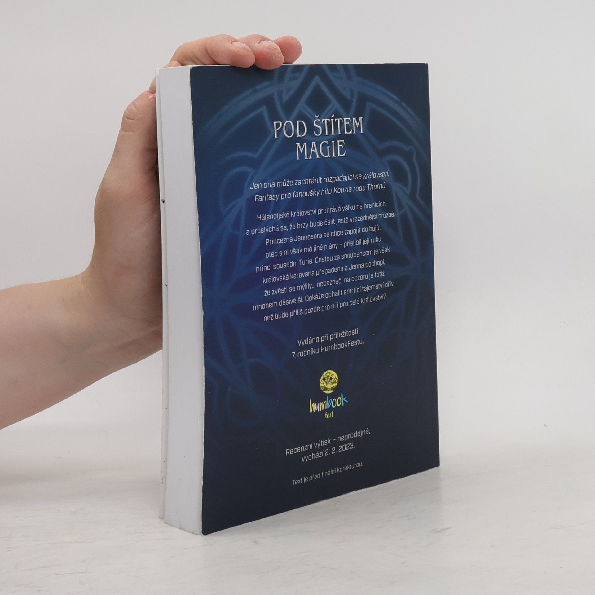 KayLynn Flanders Pod štítem magie (recenzní výtisk)