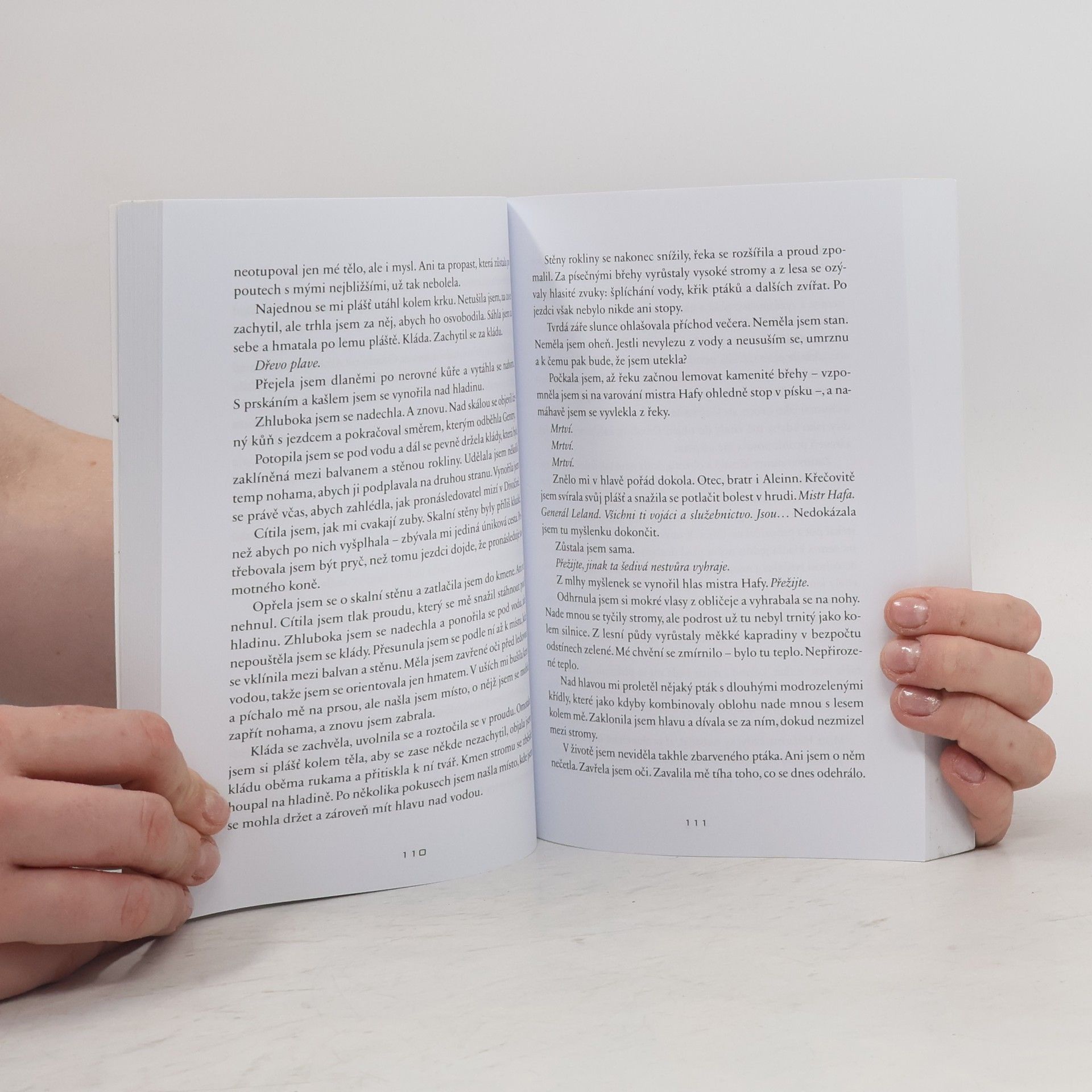 KayLynn Flanders Pod štítem magie (recenzní výtisk)