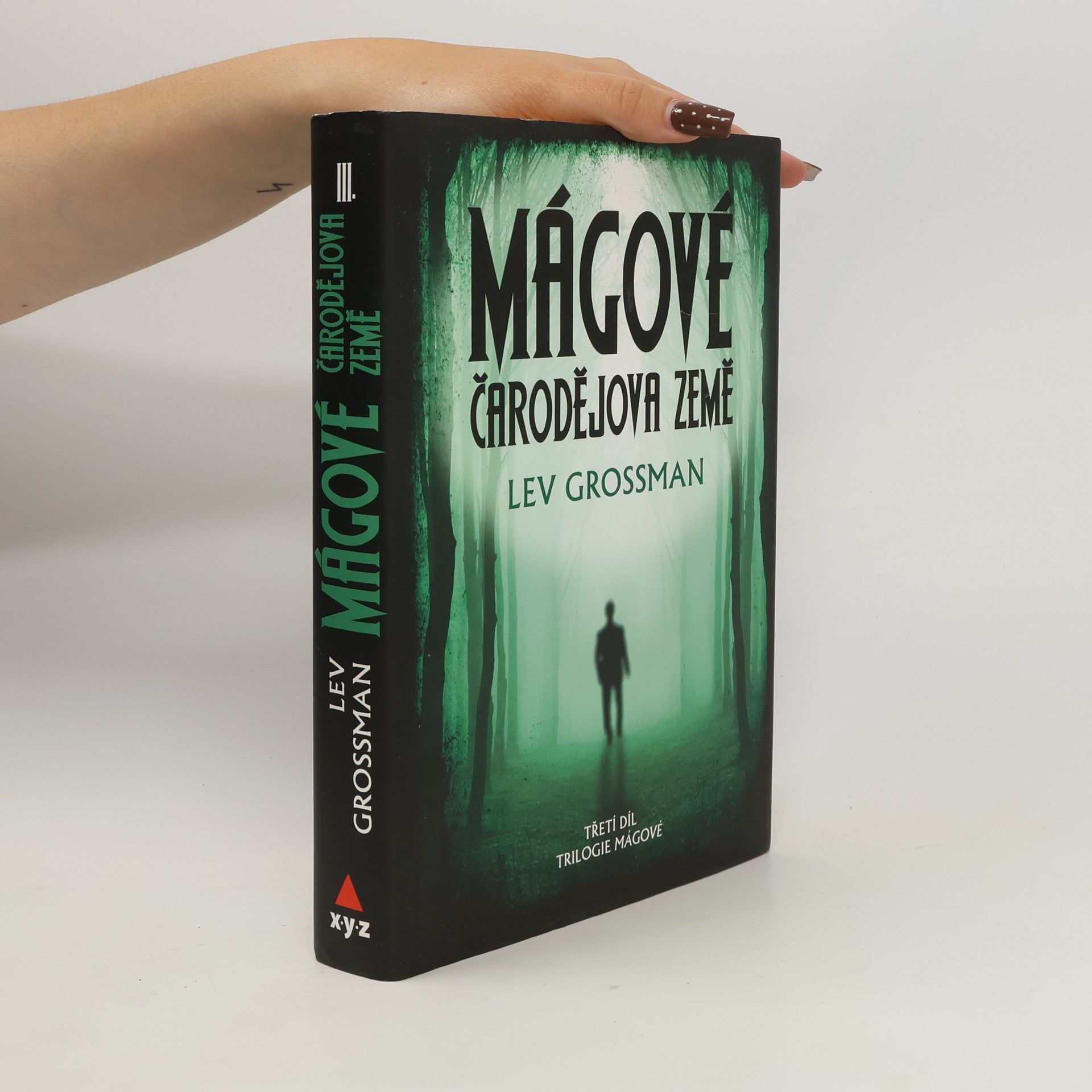 Lev Grossman Mágové: Čarodějova země