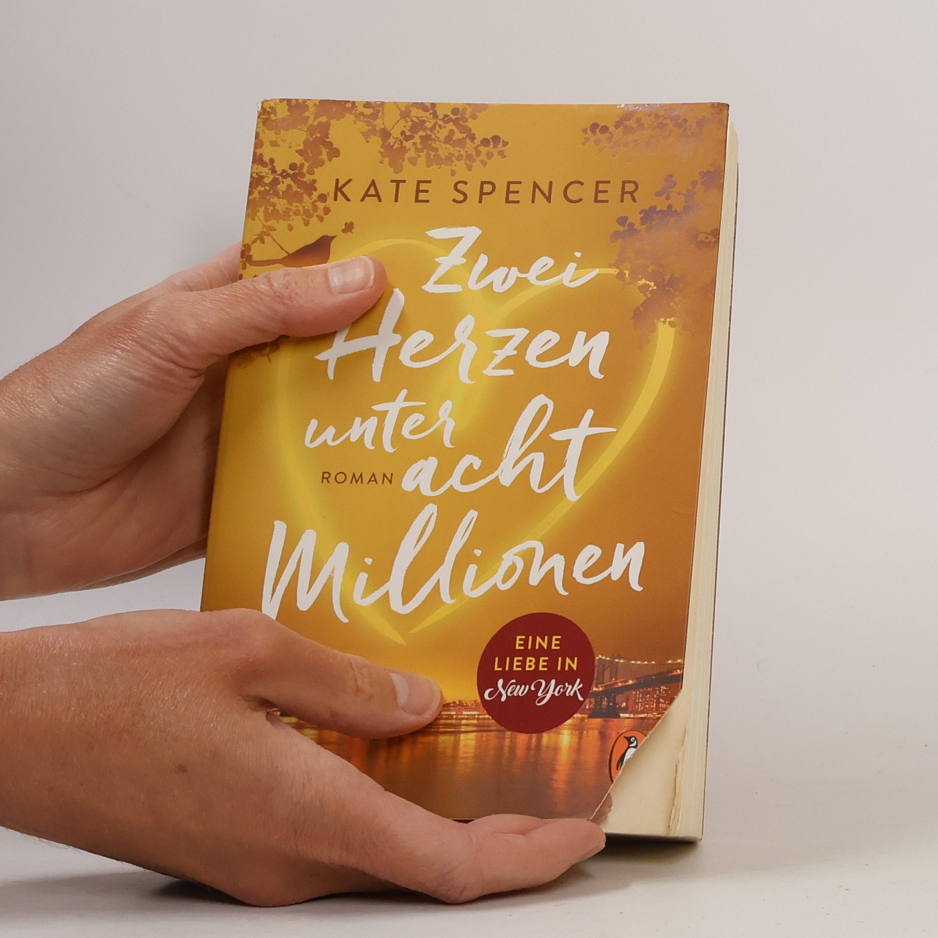 Kate Spencer Zwei Herzen unter acht Millionen