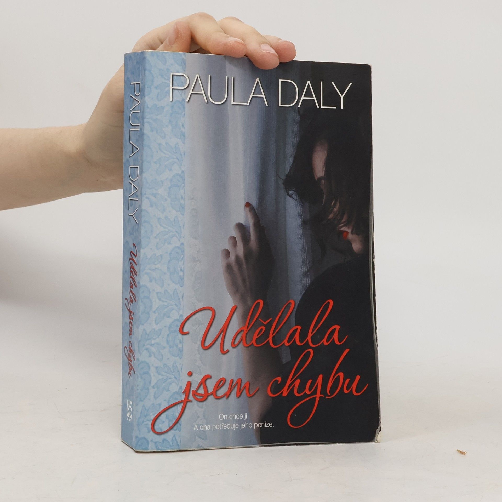Paula Daly Udělala jsem chybu