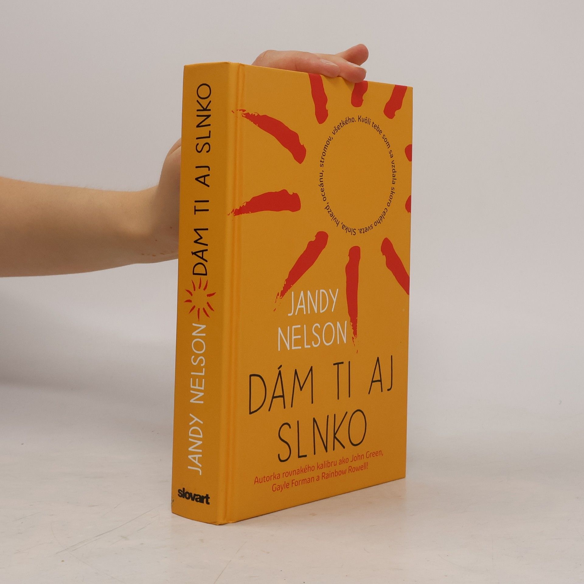 Jandy Nelson Dám ti aj slnko