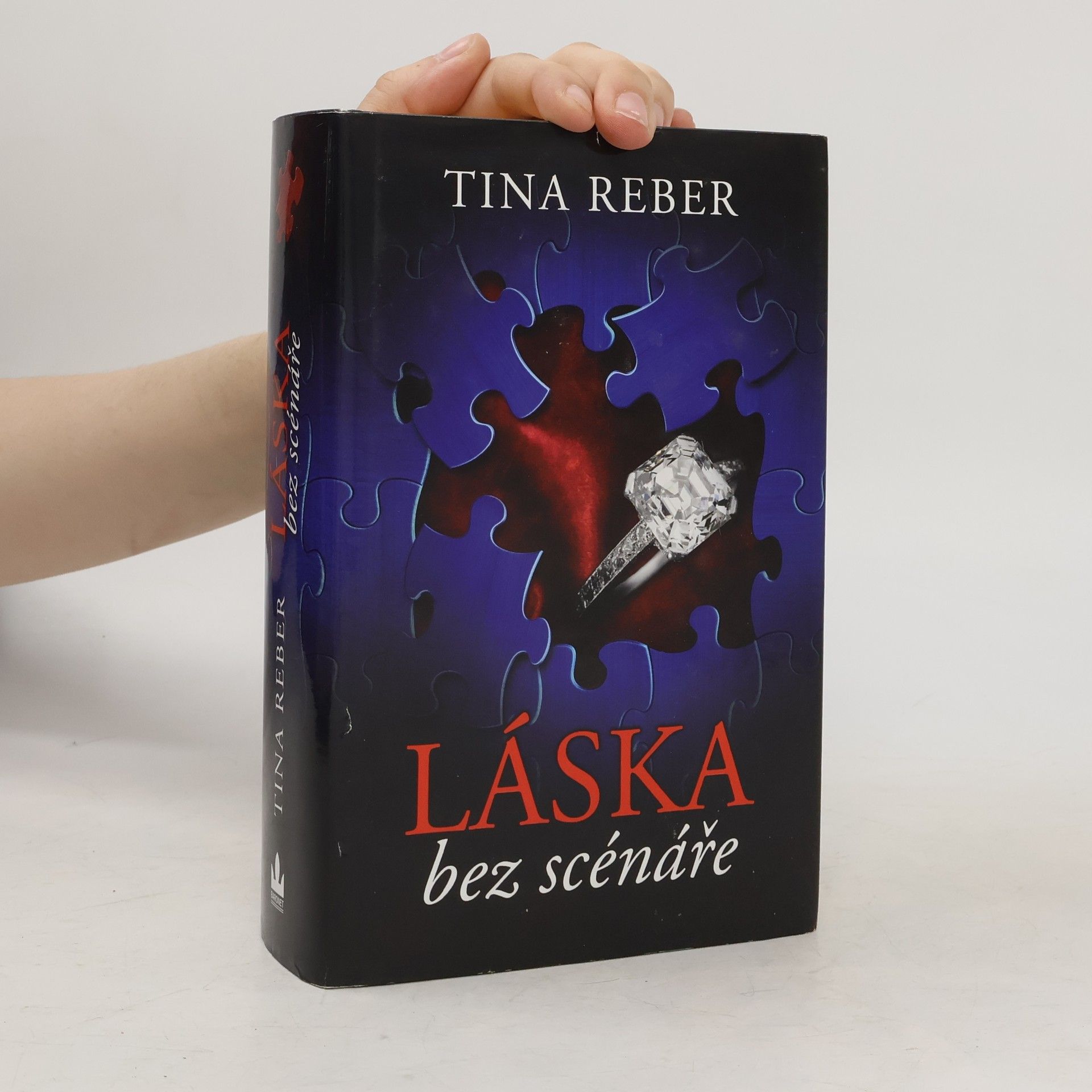 Tina Reber Láska bez scénáře