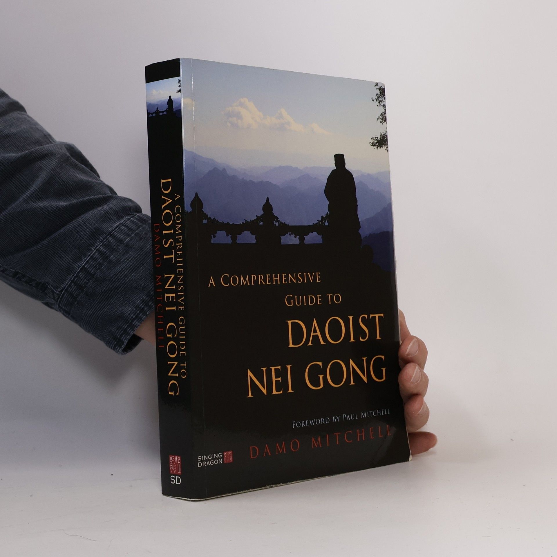 Damo Mitchell A Comprehensive Guide to Daoist Nei Gong