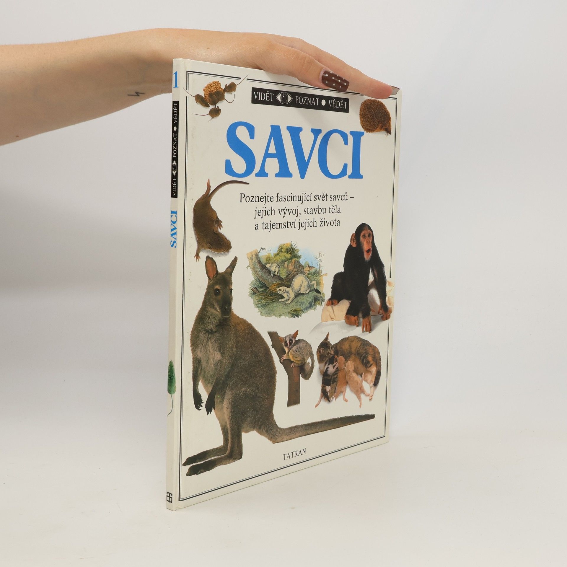 Steve Parker Savci