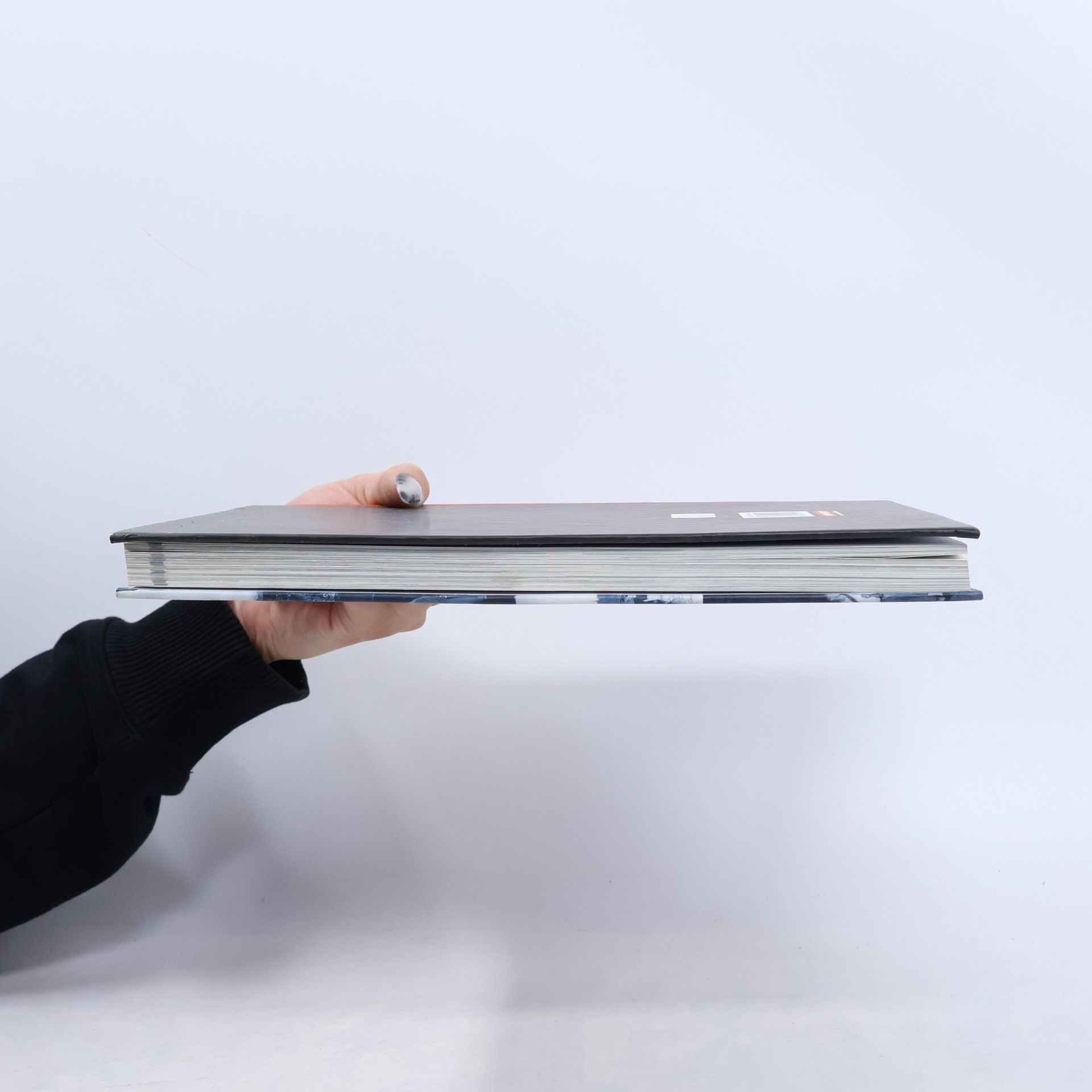 Matthew S. Seligmann Ve stínu hákového kříže : Život v Německu za nacismu 1933-1945