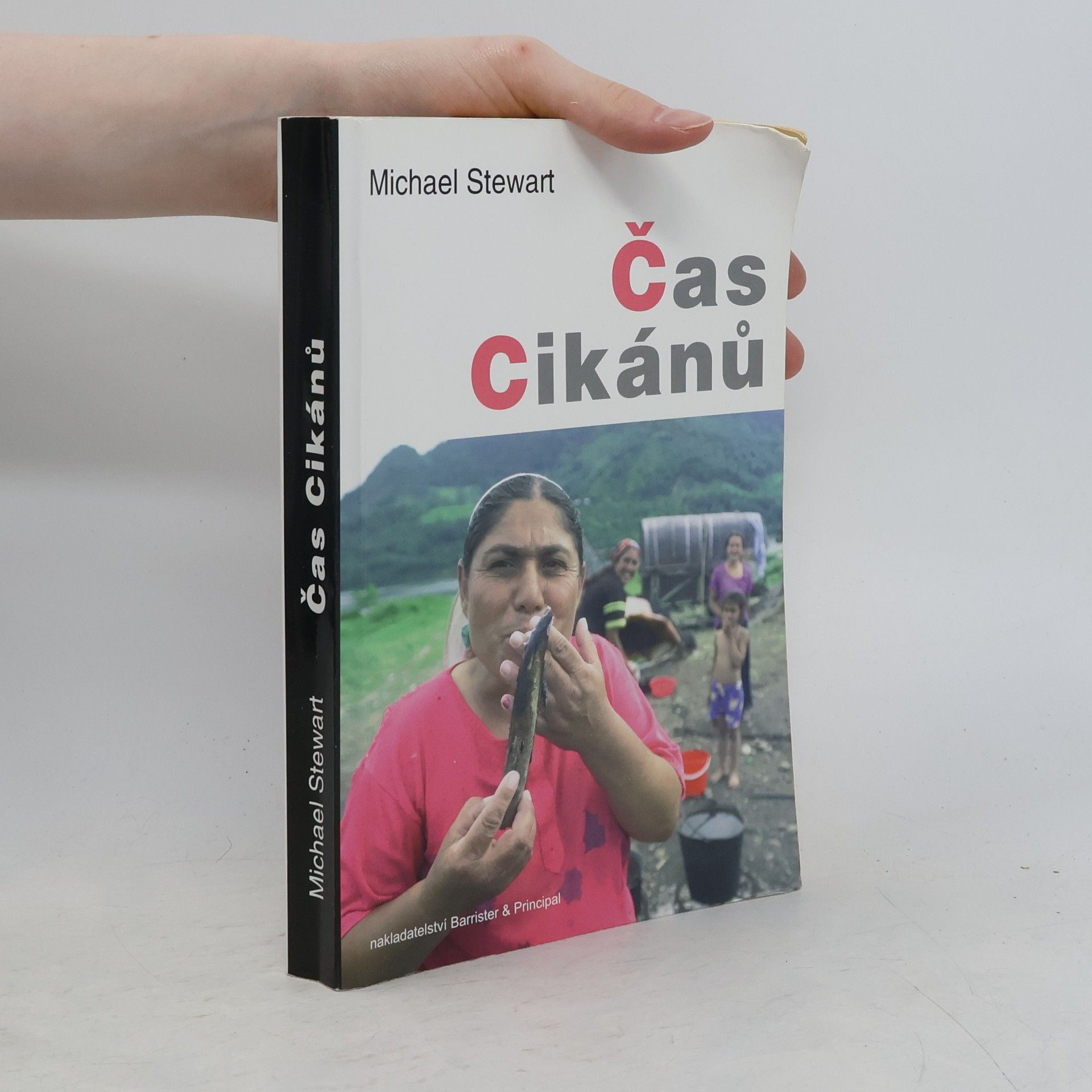 Michael Stewart Čas cikánů