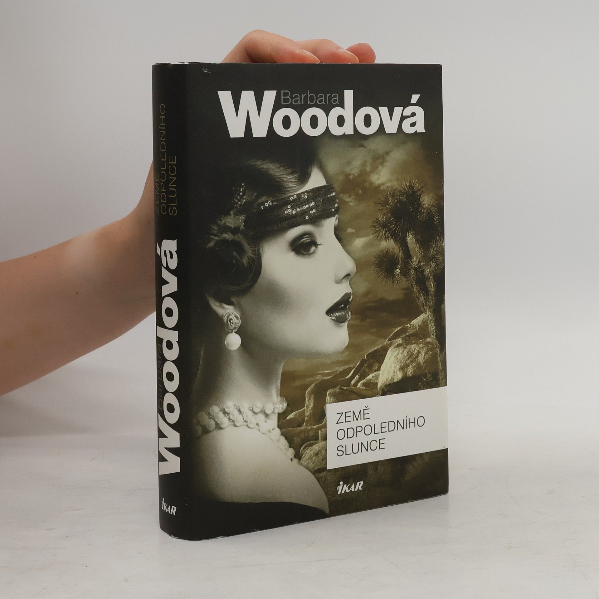 Barbara Wood Země odpoledního slunce