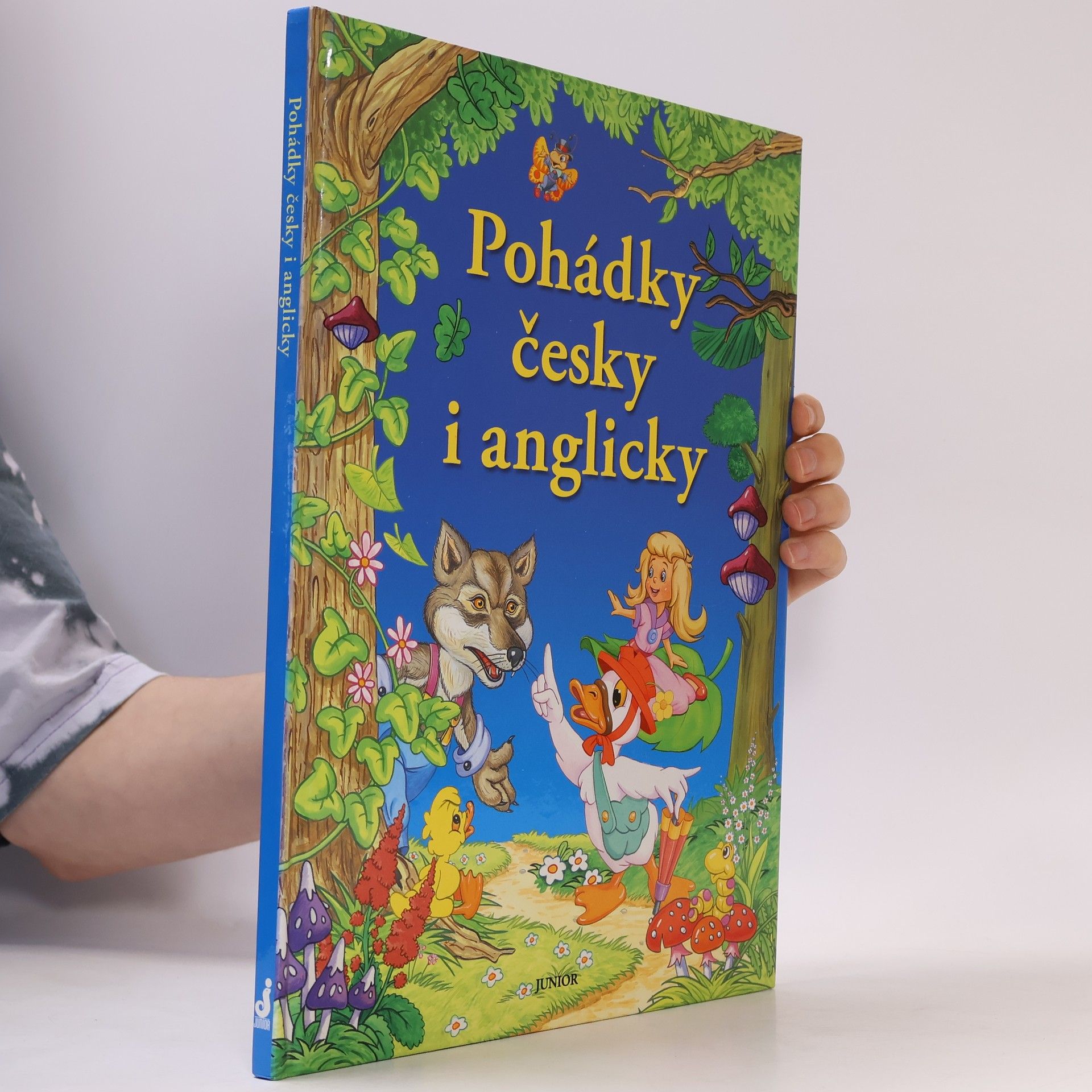 Dorota Fic Pohádky česky i anglicky