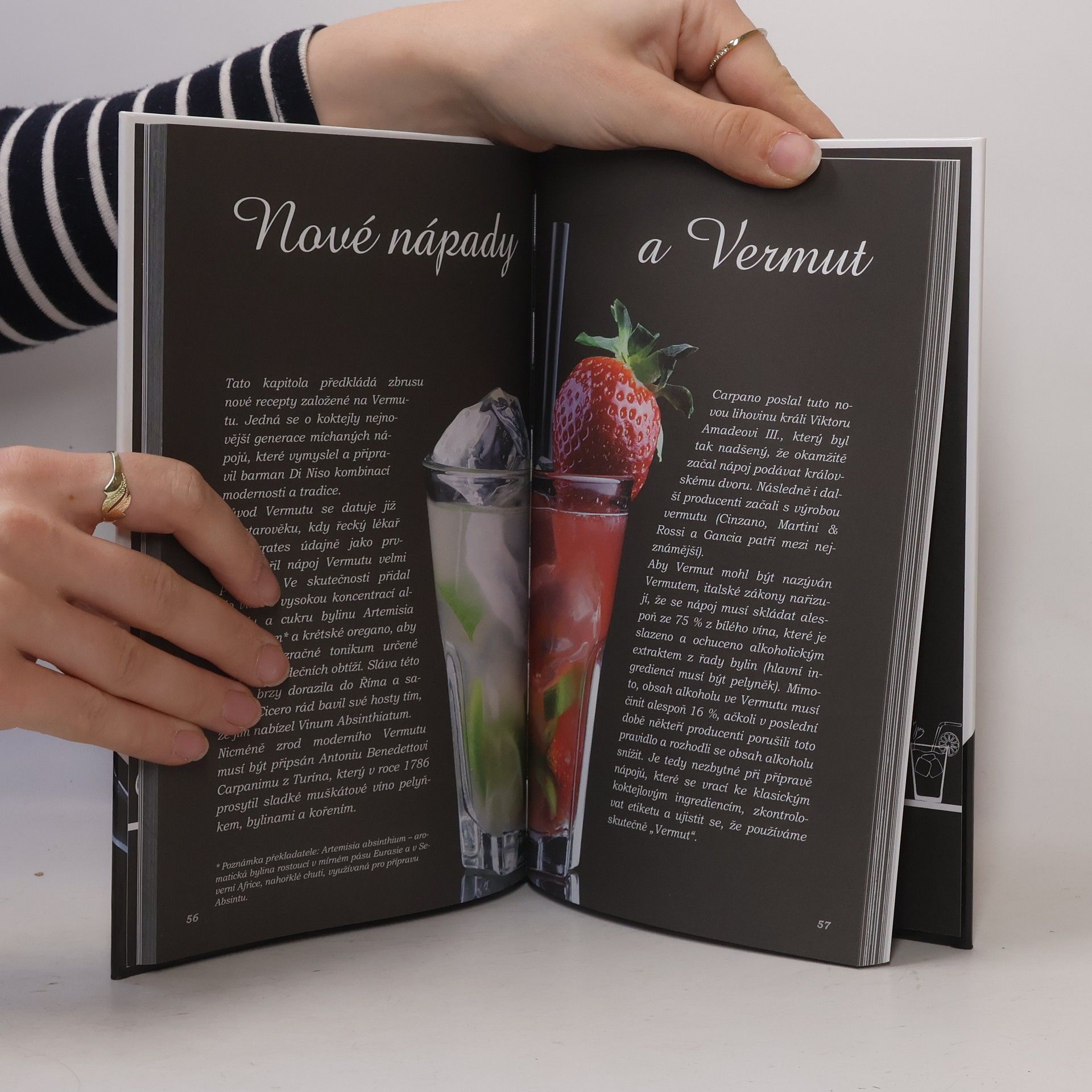 Gianfranco Di Niso Vinné koktejly. Nové, kreativní a klasické nápoje