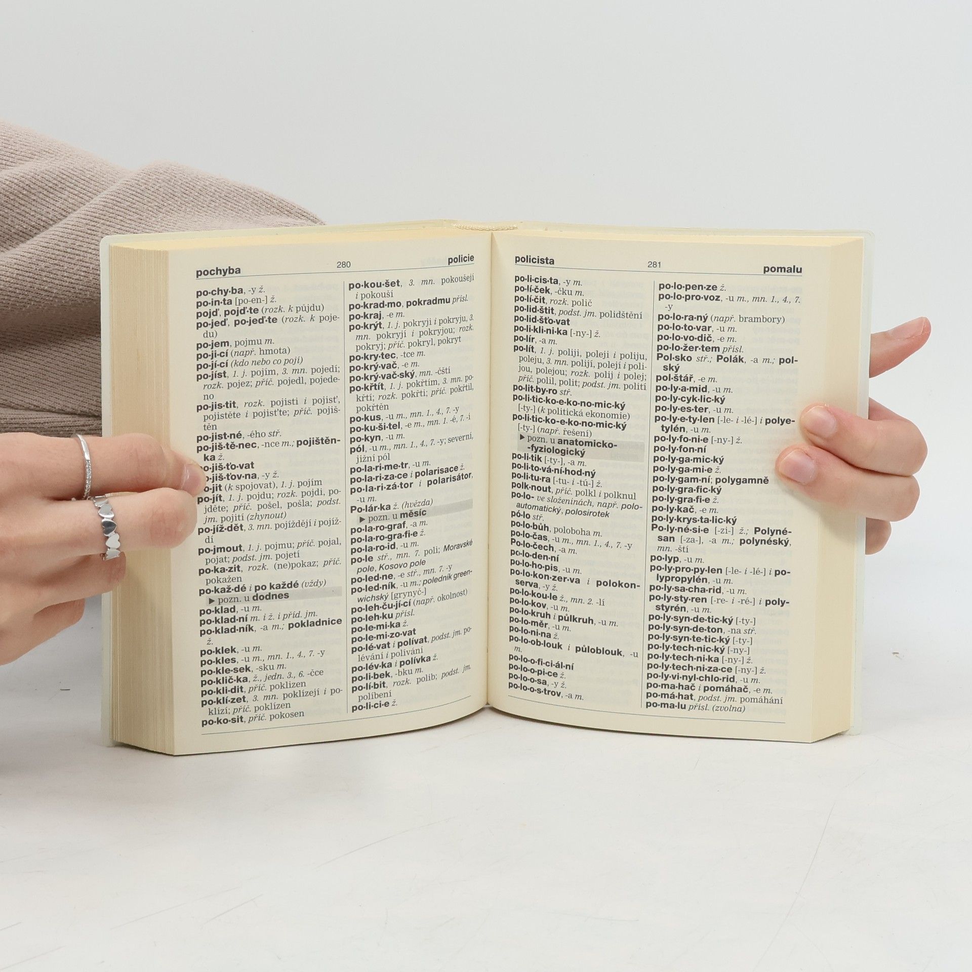 Autorenkollektiv Pravidla českého pravopisu