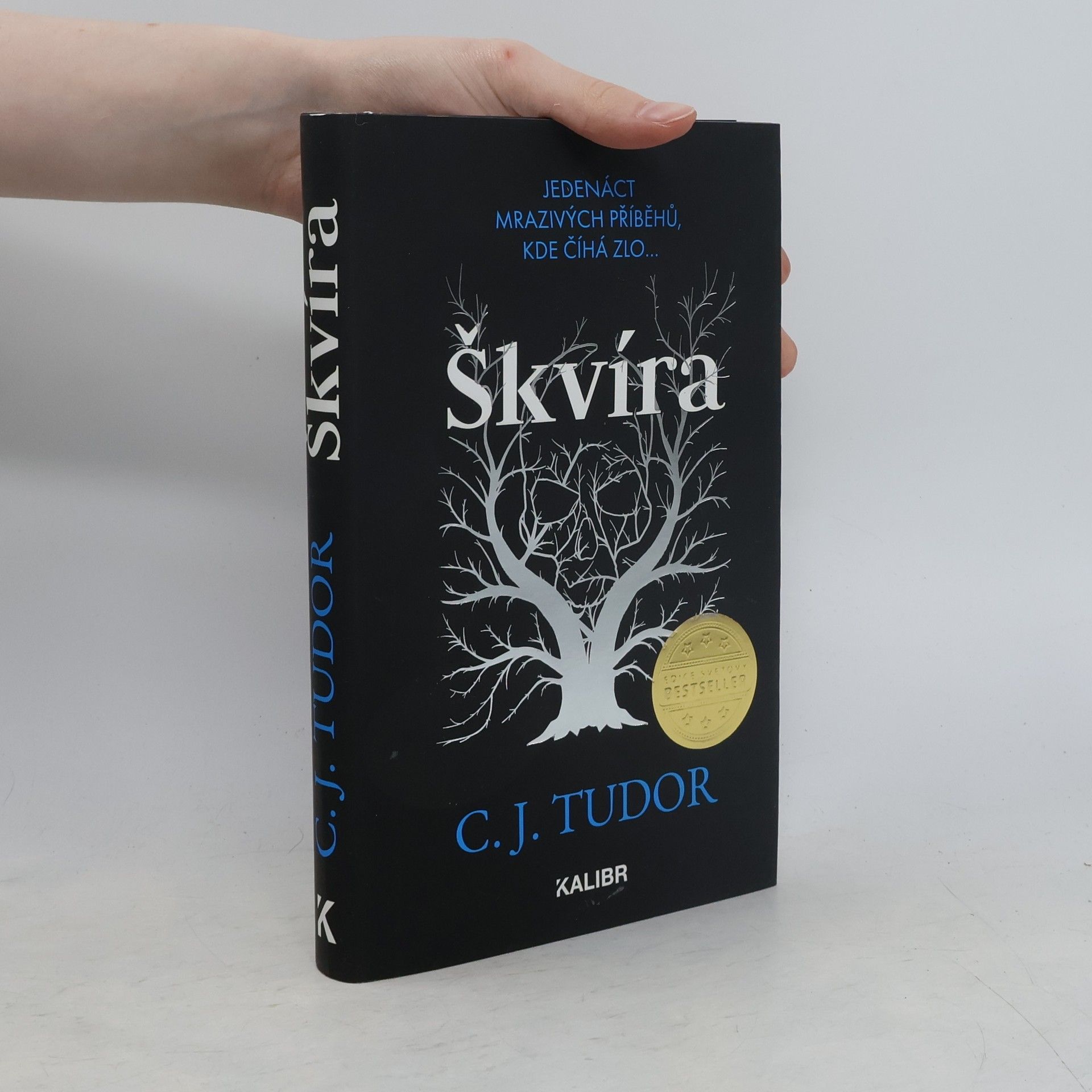 Škvíra