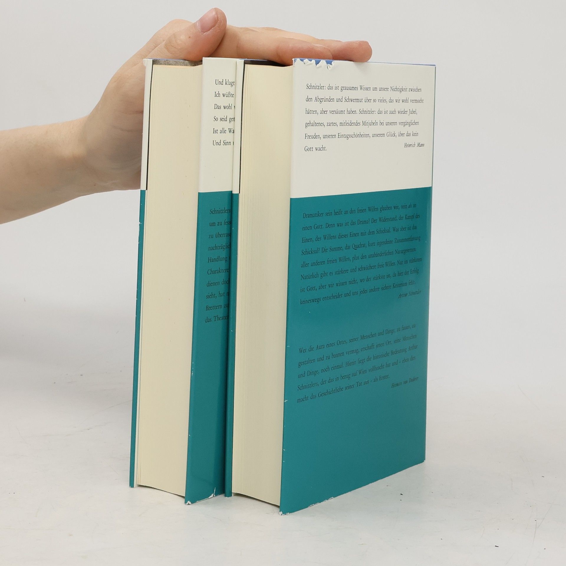 Arthur Schnitzler Die Dramatischen Werke 1-2