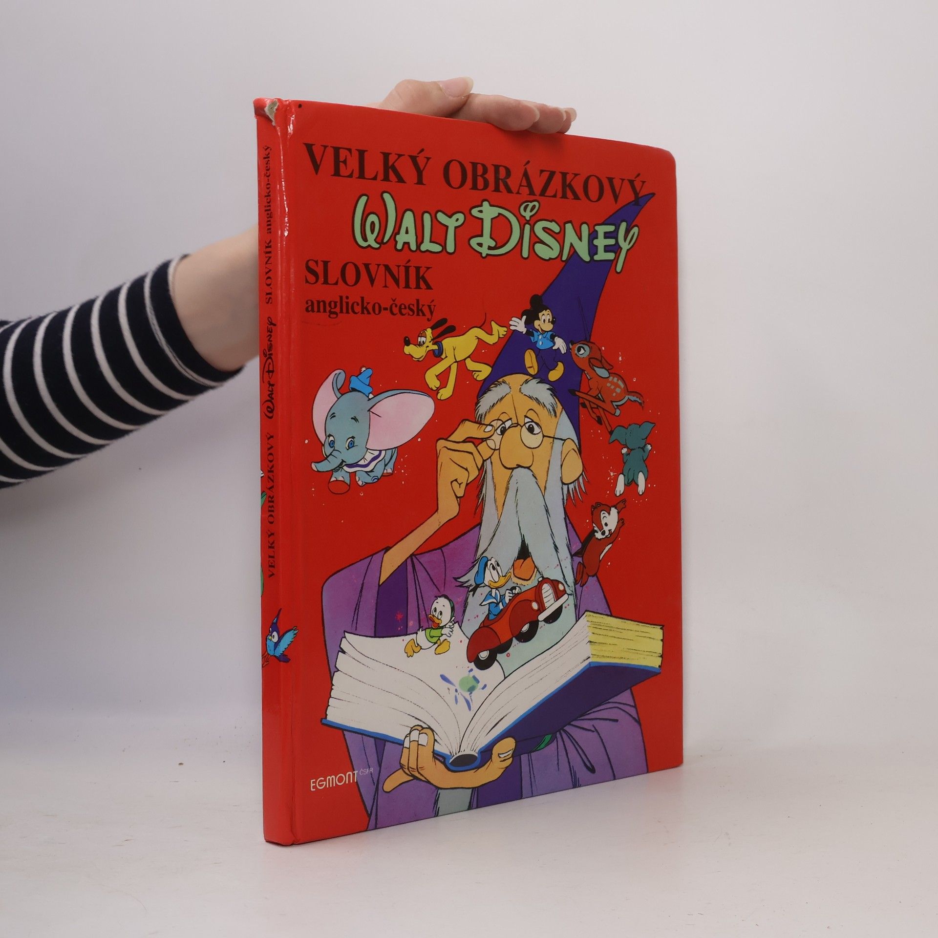 Walt Disney Velký obrázkový slovník anglicko-český