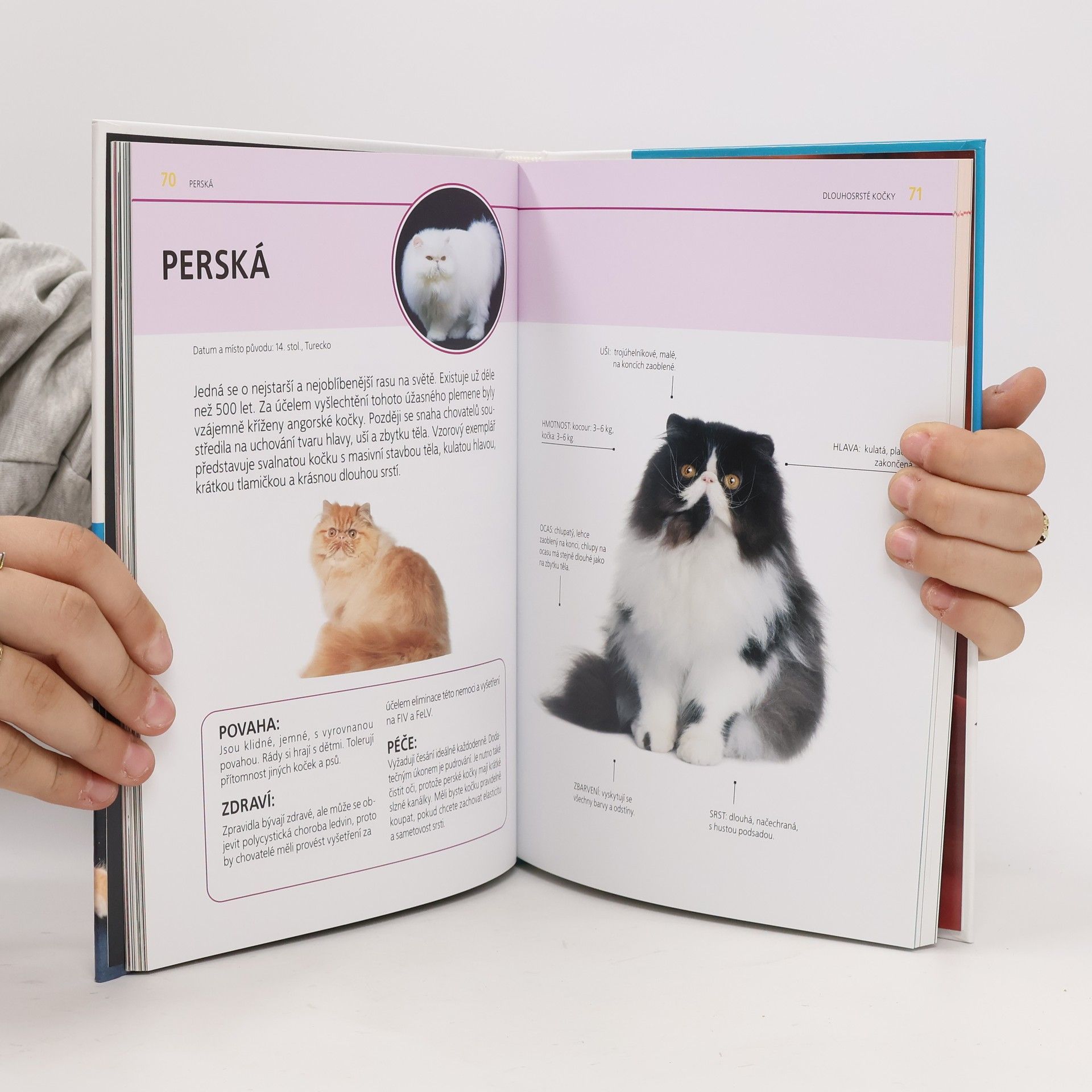 Autorenkollektiv Atlas koček : výběr, péče, plemena